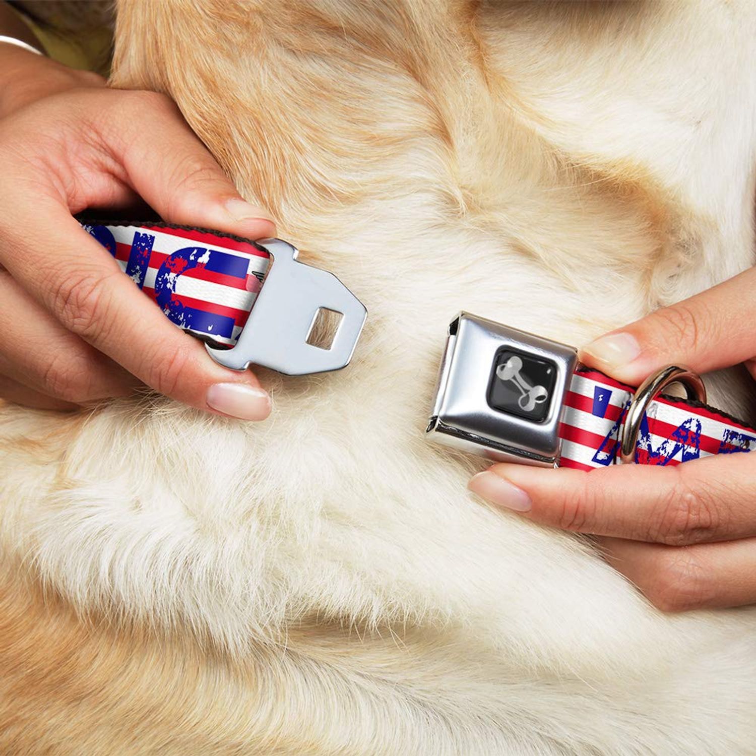 Dog Collar Seatbelt Buckle Merica Stripes Stars Red White Blue 13 to 18 Inches 1.5 Inch Wide