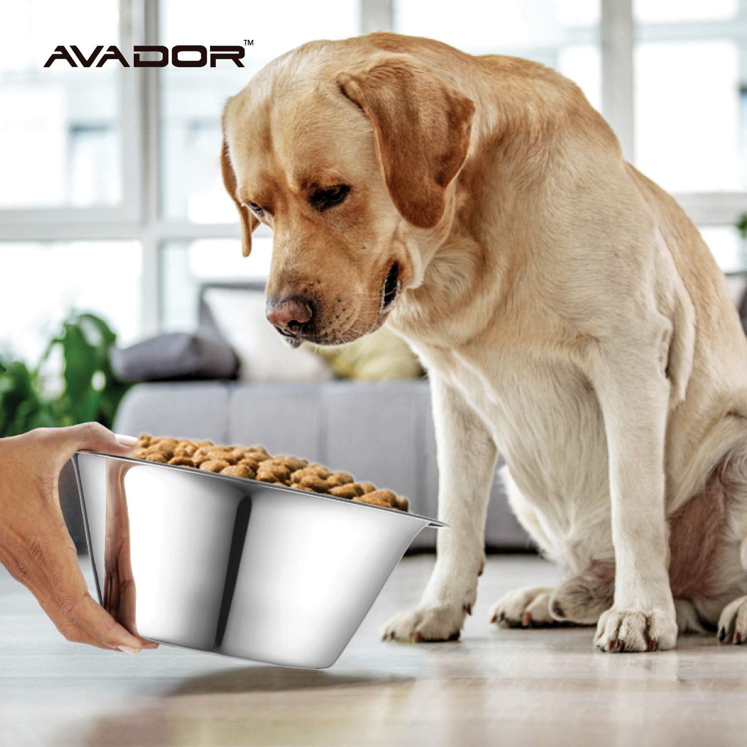 AVADOR Set of 2 Stainless Steel Dog Bowl Dish Set for Feeding and Water | Pet Care | Pet Safe | Environment Friendly | Shatter Proof