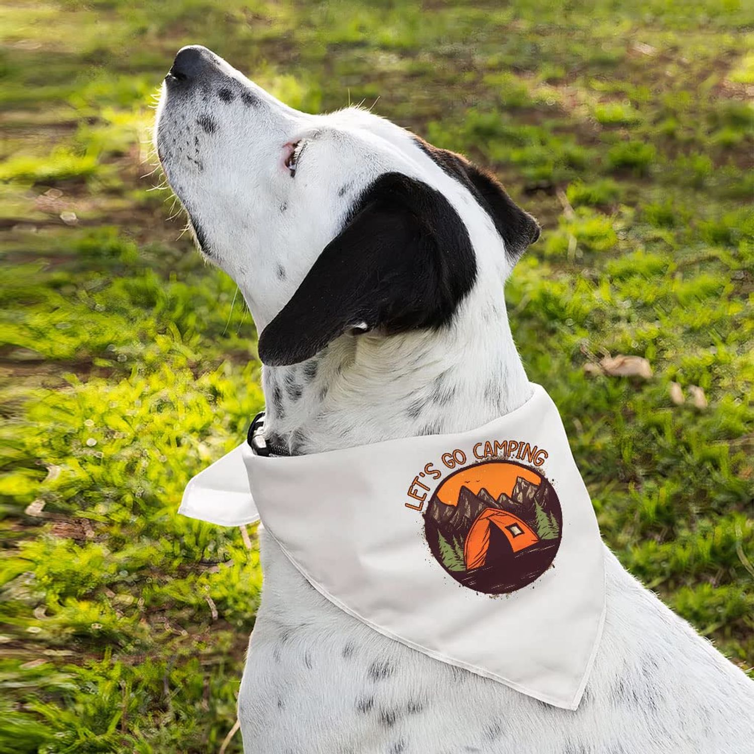 Let's Go Camping Pet Bandana - Tent Dog Bandana - Camping Pet Scarf - M