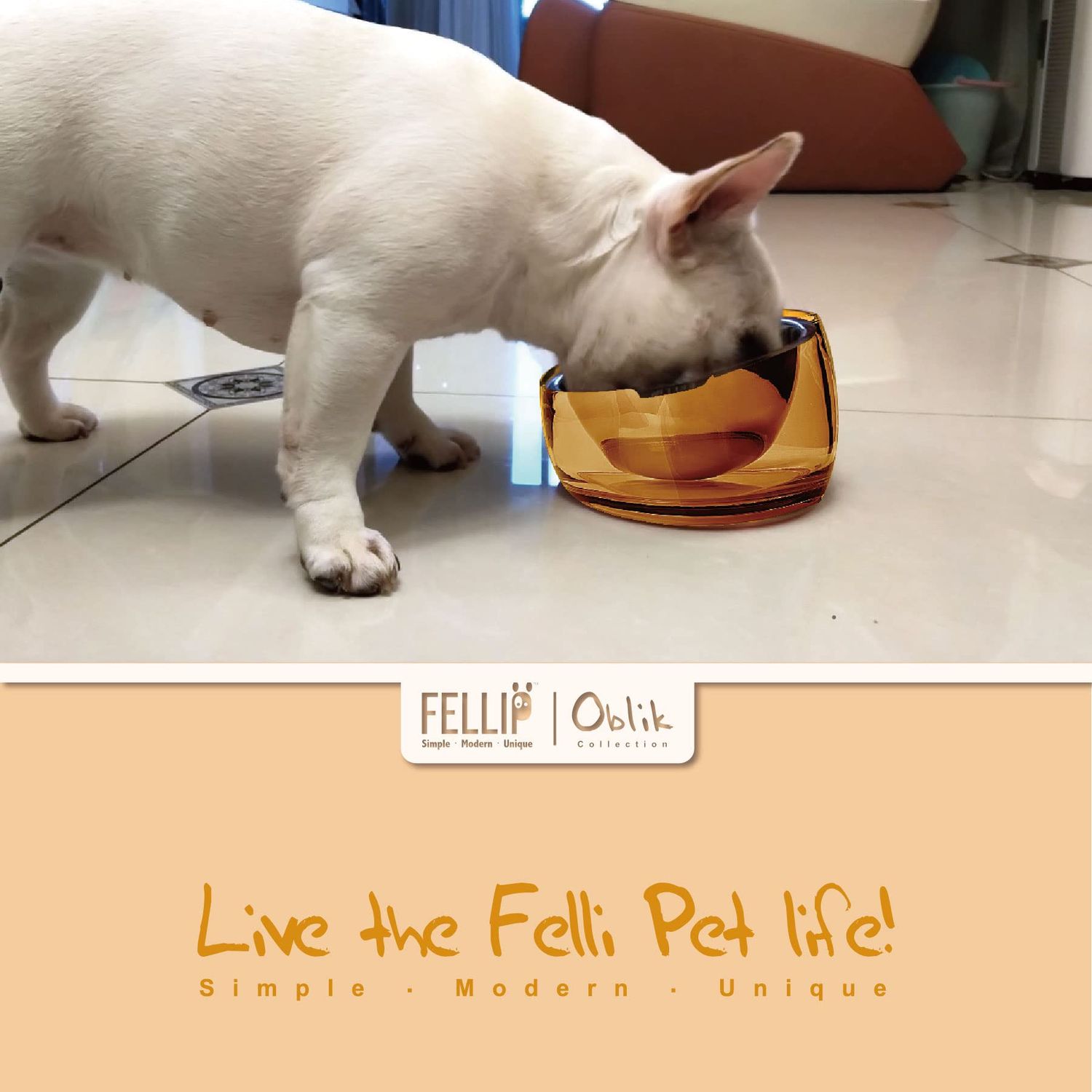 Felli Pet Oblik Acrylic Raised Dog Food Water Bowl Stainless Steel Slanted Oval Dish for Short Leg Puppy & Small Medium Pet, Elevated Tilted Metal Feeder Angled Plastic Spill Proof (1.5Cups, Gold)