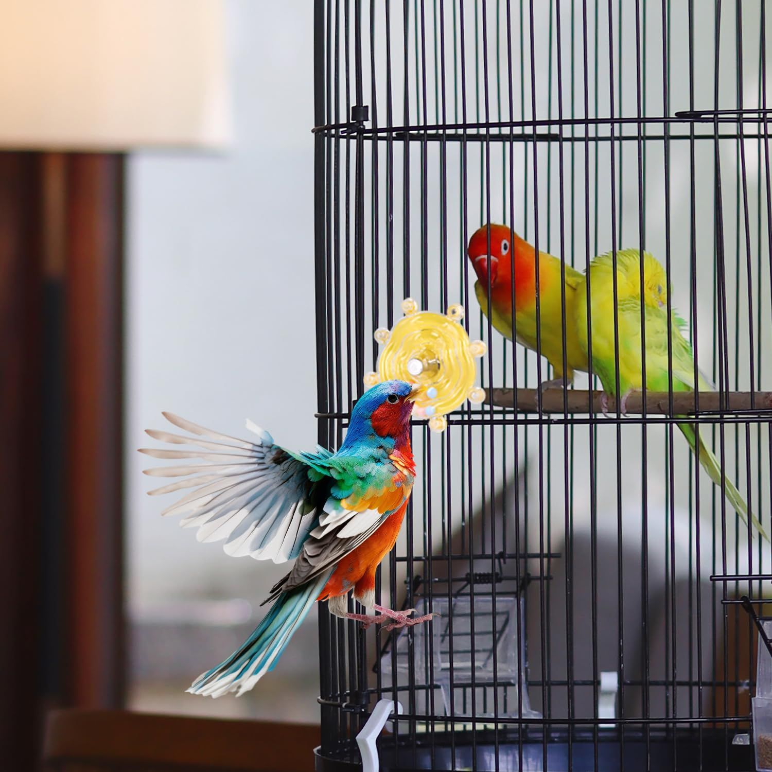 PEUTIER Parrot Spinner Toy, Parakeet Toy Wheel Bird Toys Interactive Spinning Rattle Parrot Toys Cockatiel Toys for Bird Cage for Entertainment Chewing Exercise