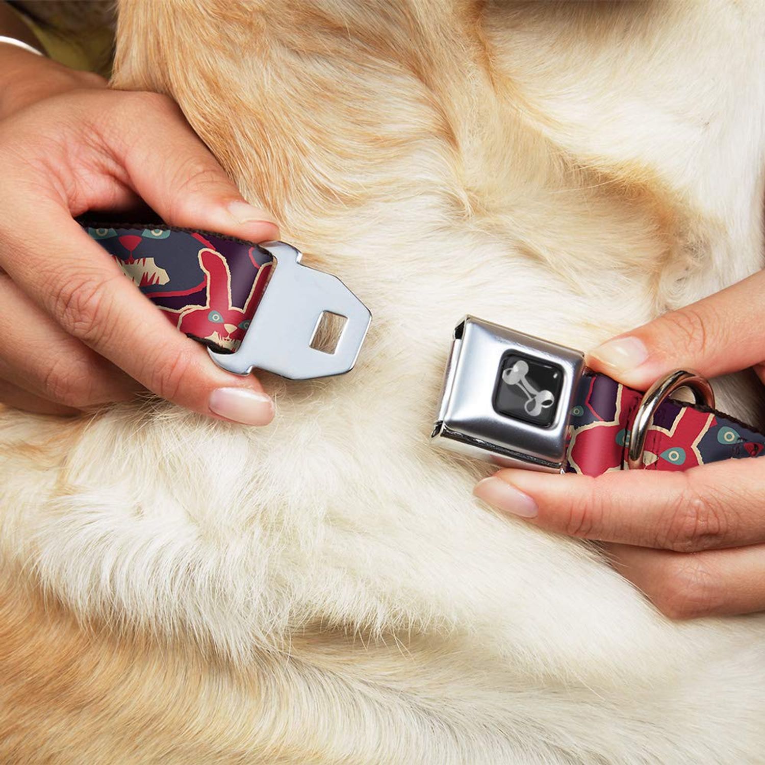 Dog Collar Seatbelt Buckle Kaleidoscope Balls White Black 11 to 17 Inches 1.0 Inch Wide