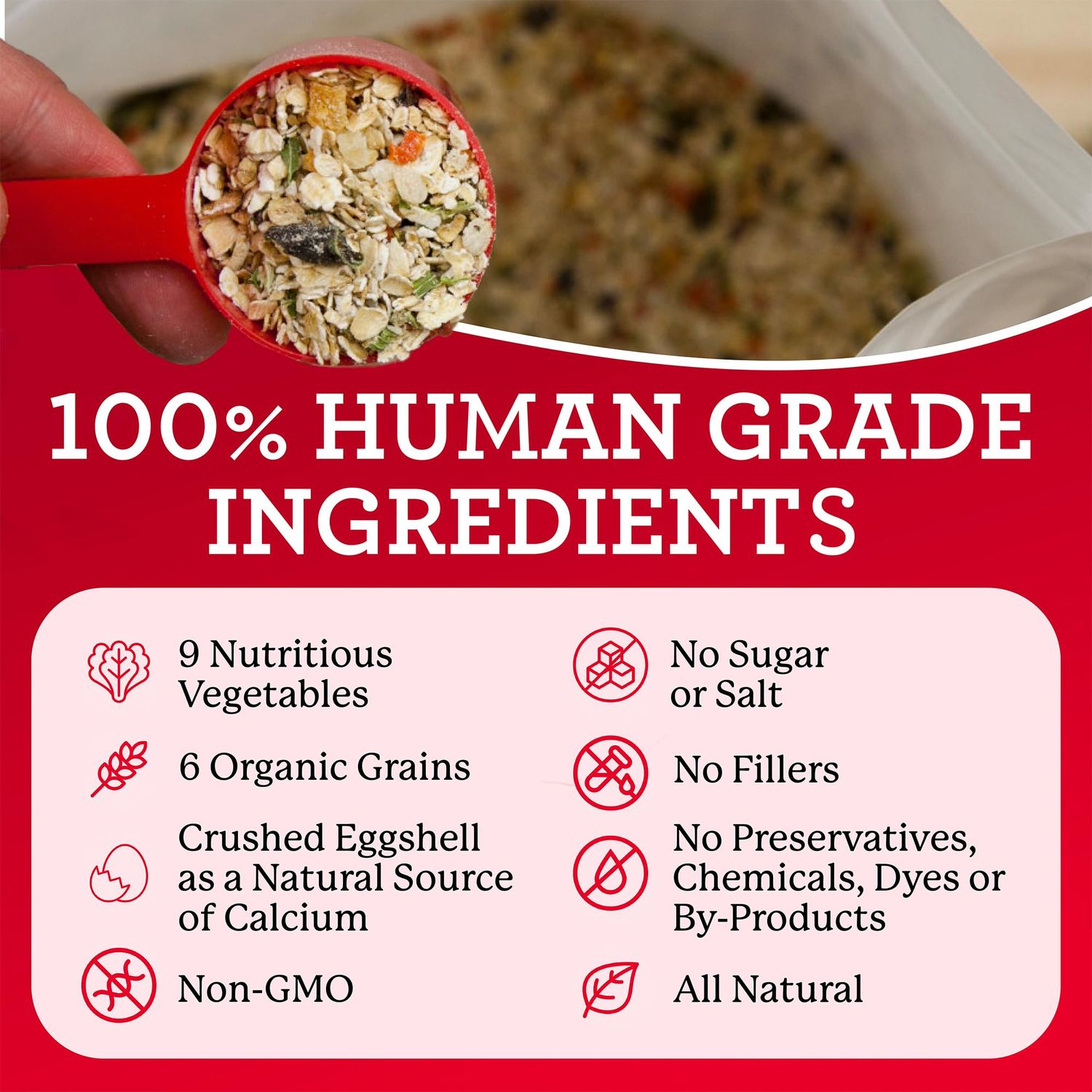 Dr. Harvey's Canine Health Miracle Dog Food, Human Grade Dehydrated Base Mix for Dogs with Organic Whole Grains and Vegetables (Trial Size 6.5 Oz)
