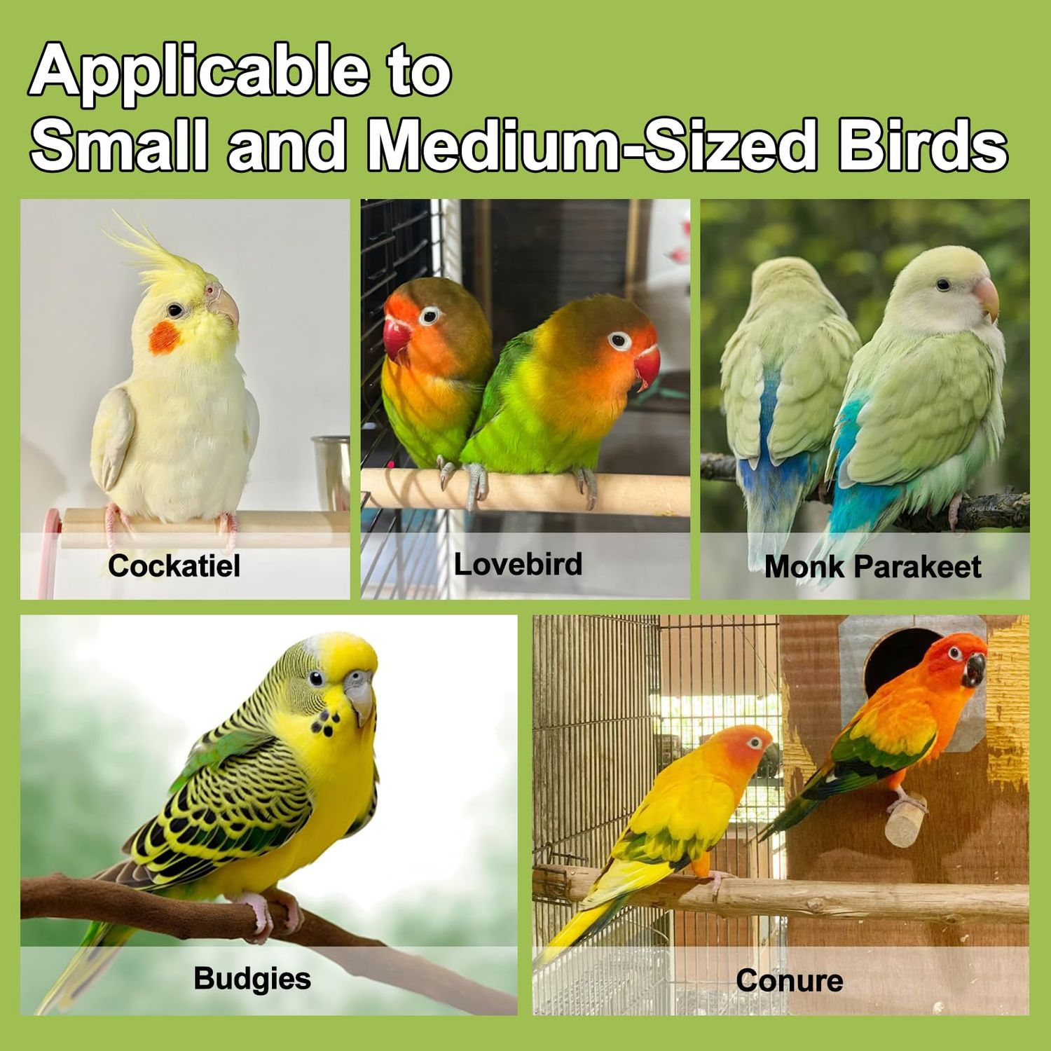 LUKHMELF Bird Toys,Foraging Toys for Birds,Parrot Training Interactive Toys,Wooden Bird Perch,Bird Cage Accessories for Conure Cockatiel Parakeet Budgies Lovebird Parrotlet