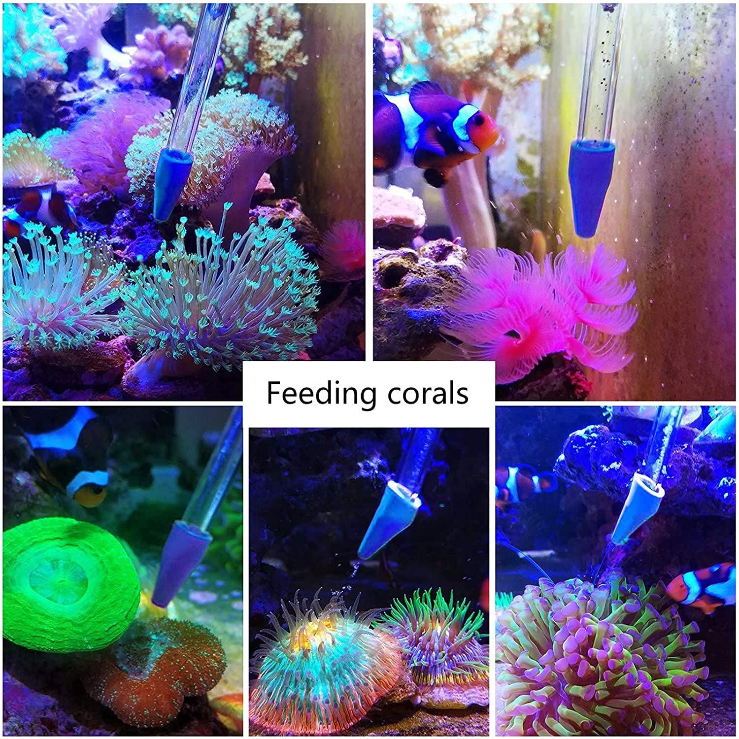 Aquarium Choice Coral Feeder Long Syringe Reef Feeder SPS HPS Marine Reef Coral Feeder Tool Fish Excreta Cleaner (2 Units Coral Feeder and 2 Units Tweezers)
