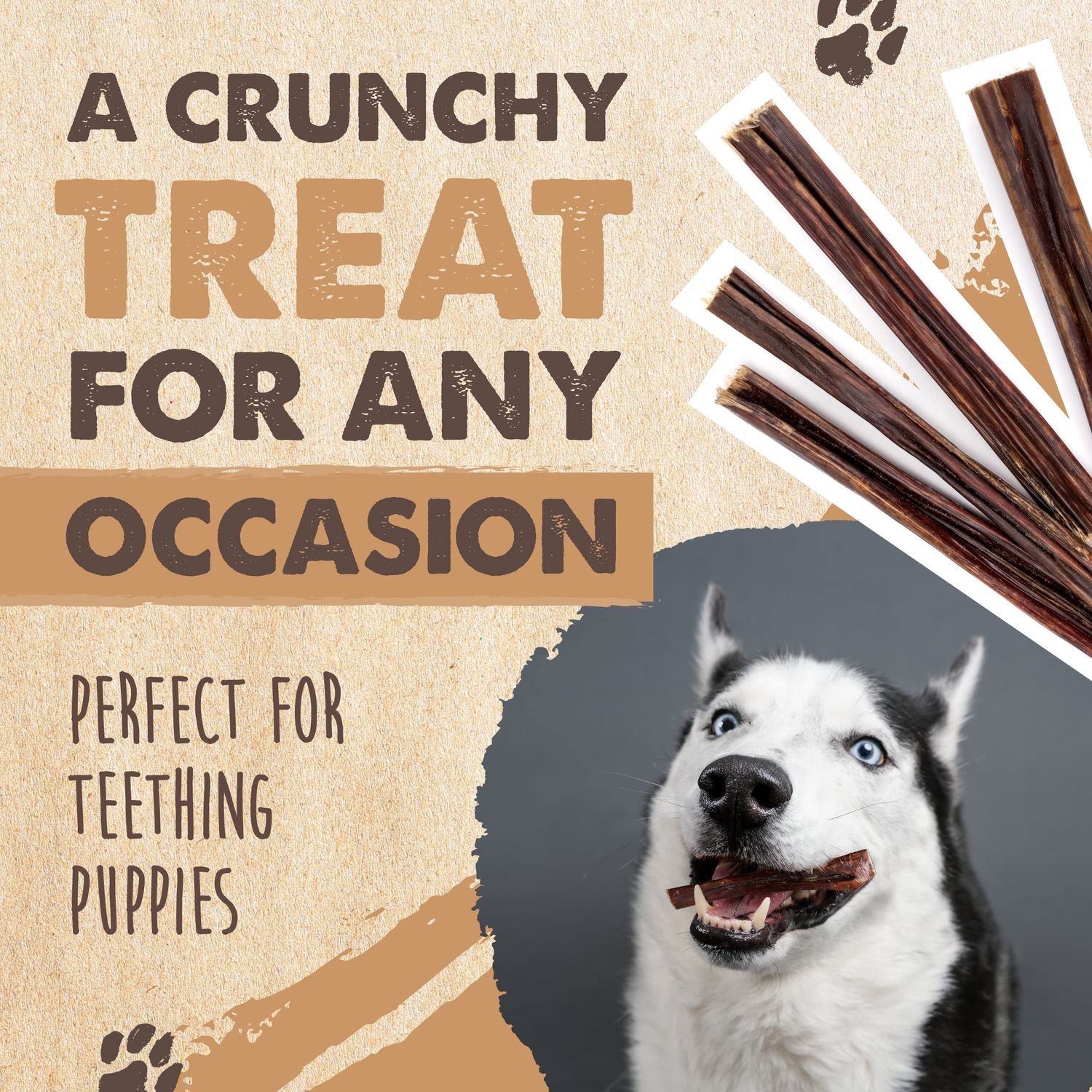 Mighty Paw - Beef Gullet Sticks for Dogs (6 Inch - 30 Pack) | Premium Beef Esophagus Dog Treats. Gullet Sticks, Ideal for Large and Small Dogs Teething and Light Chewing. Rawhide Free, Bulk Dog Chews