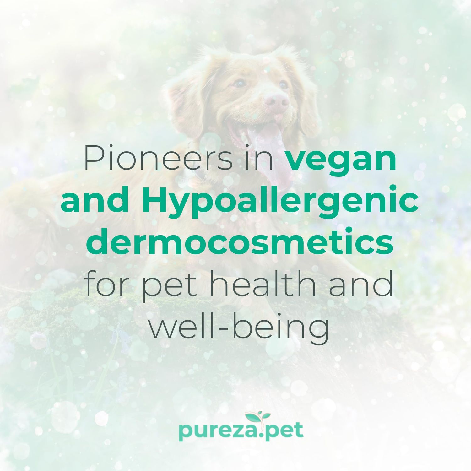 Nutrition Hypoallergenic Conditioner for Pets - Fur Detangling, Nourishment & Hydration, All Ages Pet Grooming Products, Horse, Cat and Dog Bath Supplies - Vegan, Paraben-Free - 10.6oz - PUREZA PET