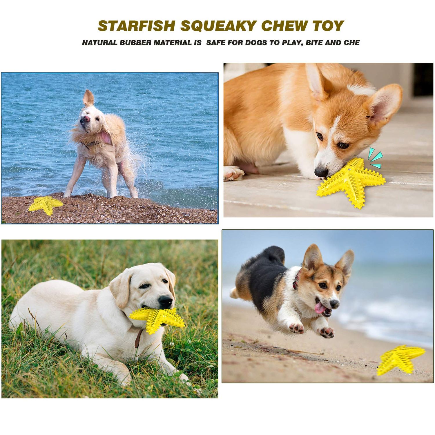 IDOLPET Dog Chew Toys Squeaky Dog Toys Dog Water Floating Toys Starfish Natural Tooth Brush Teeth Cleaning Toy for Small Medium Dog Yellow