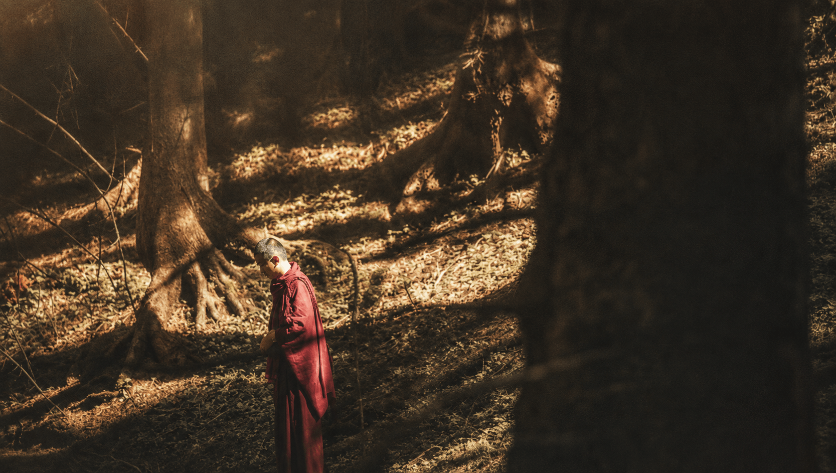 Tibetan monk in the woods