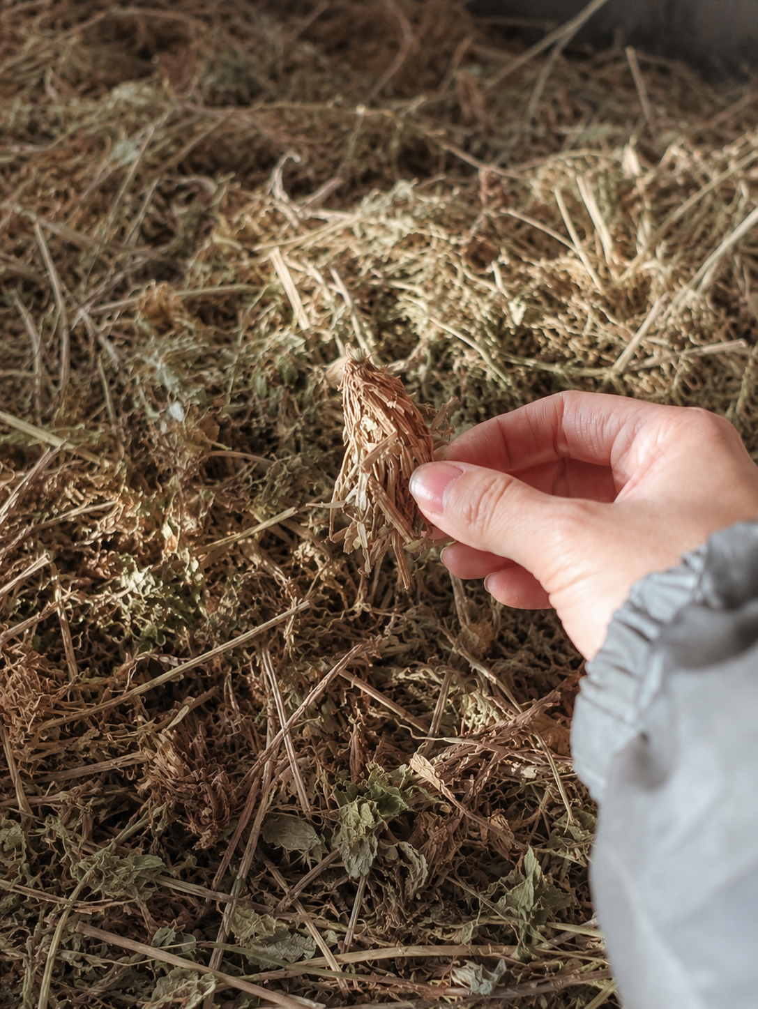 High-altitude botanicals used in traditional Tibetan incense