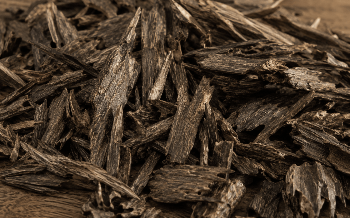 agarwood