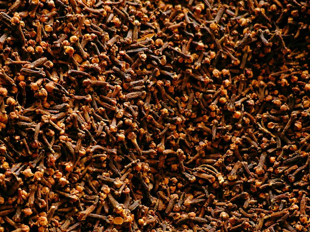 Dark brown granular material in a metal tray