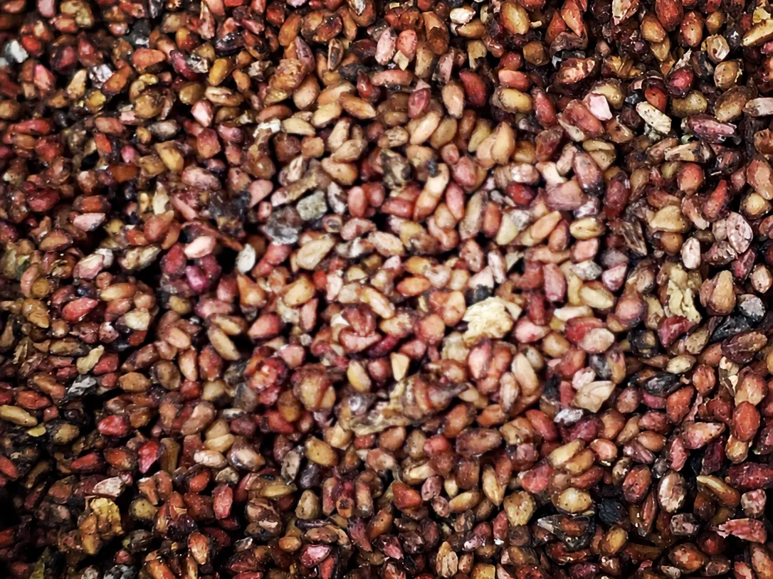 Close-up of multicolored granules with irregular shapes and textures