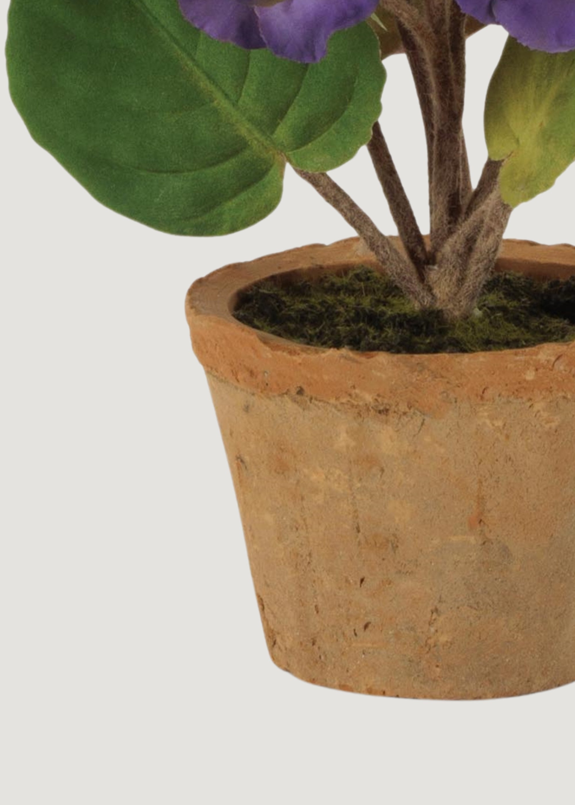 Close-up of Terra Cotta Pot