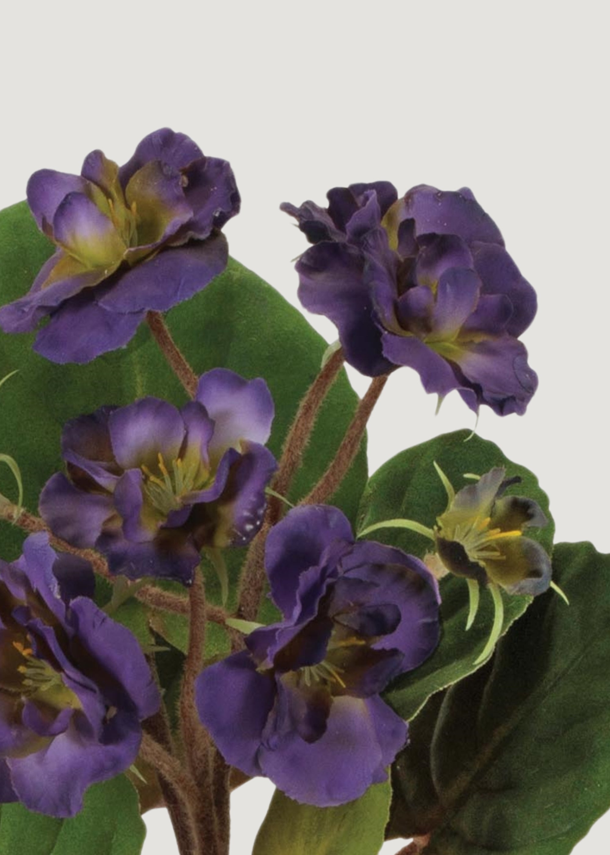 Close-up of fake African Violet Plant