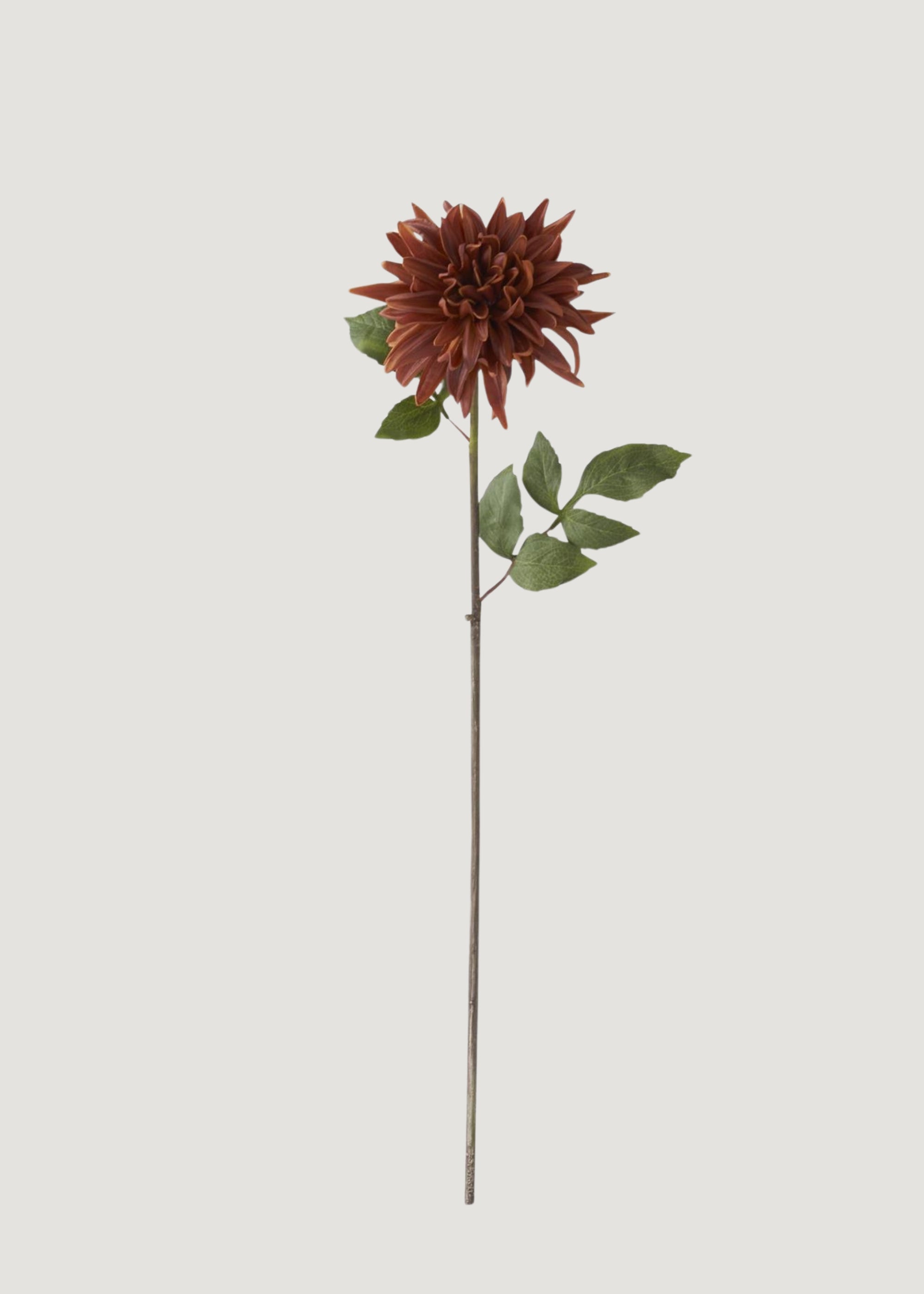 Real Touch Dahlia in Earthy Brown