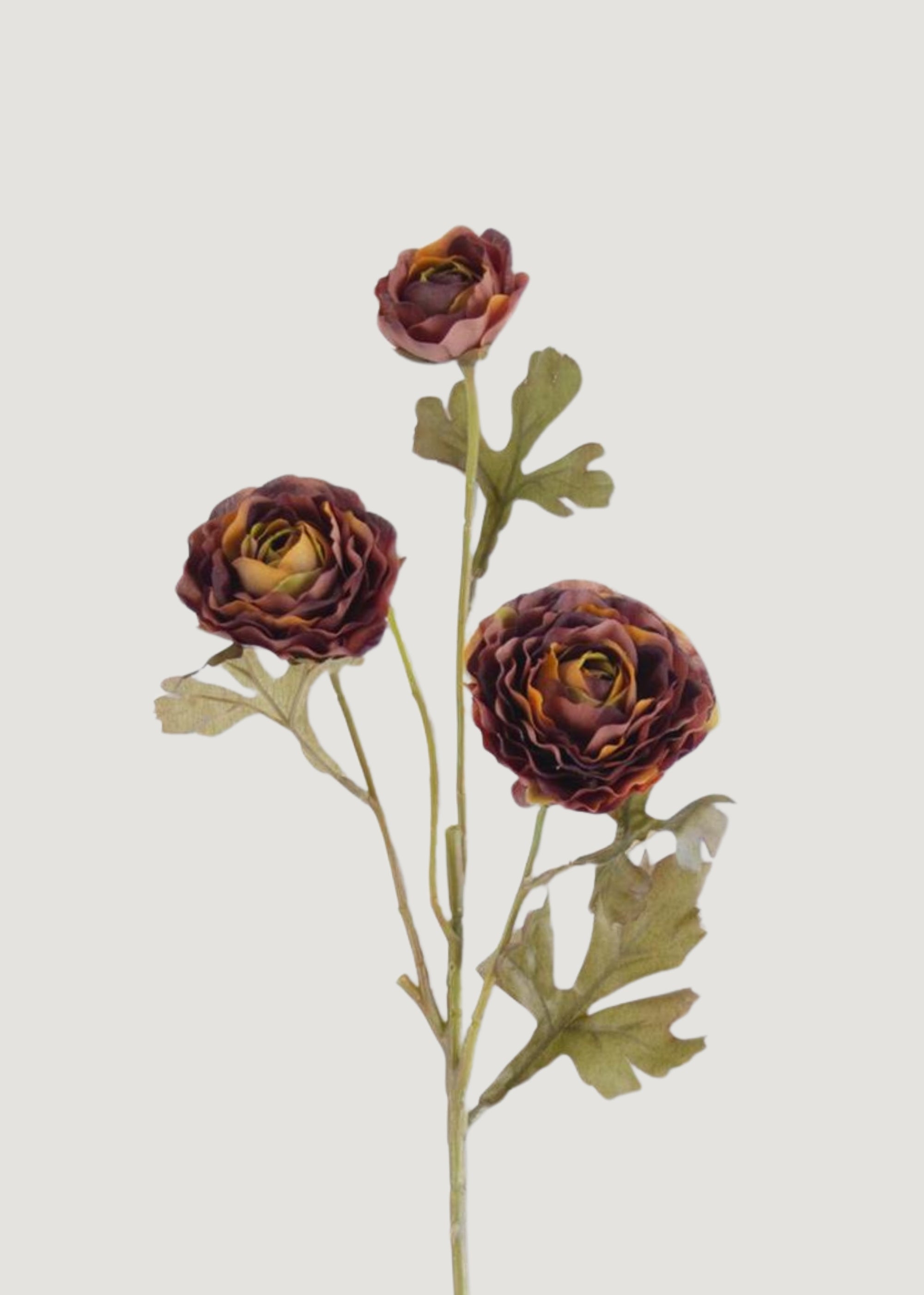 Close-up of Plum and Orange Artificial Ranunculus