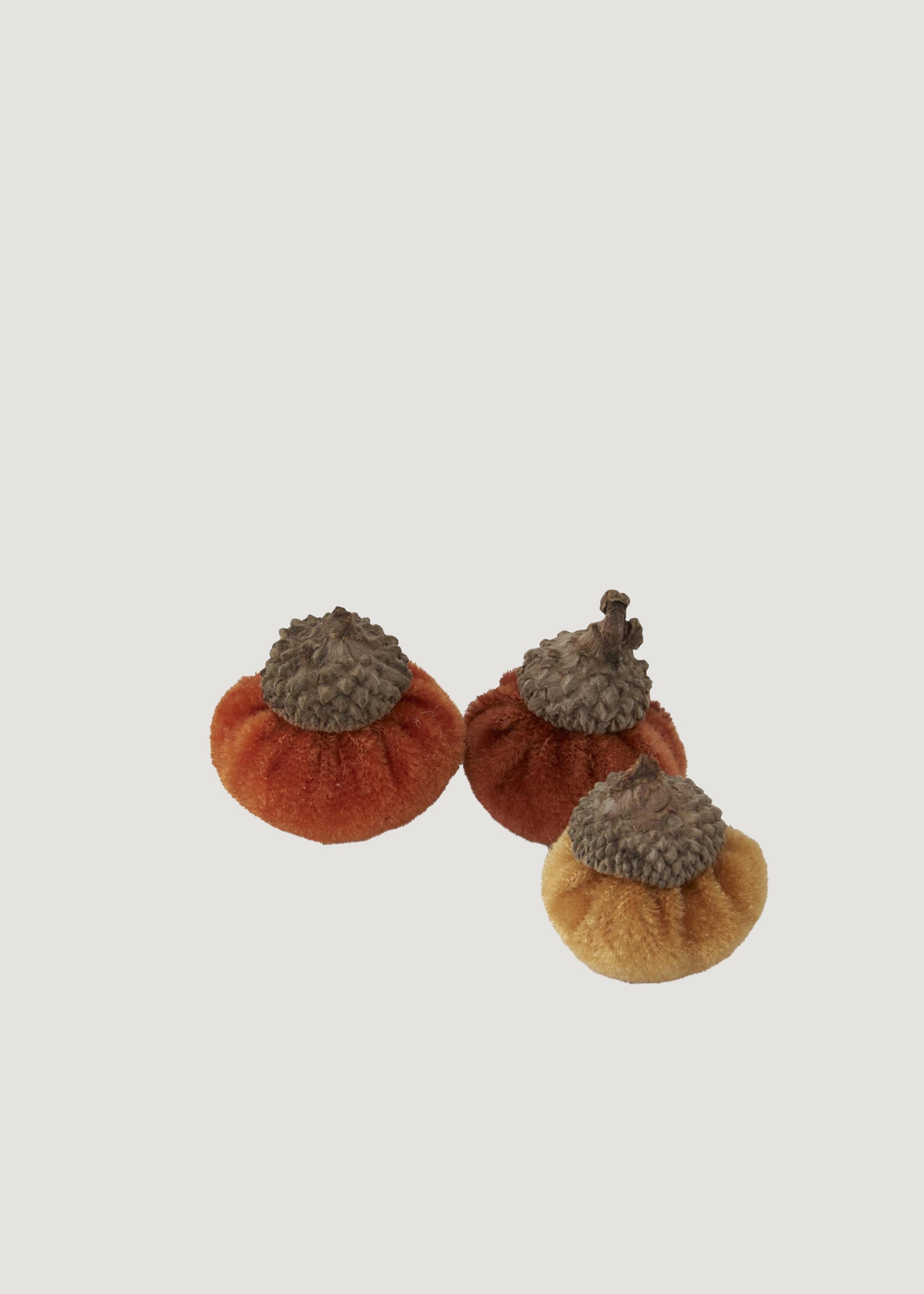 Close-up of Plush Velvet Acorns