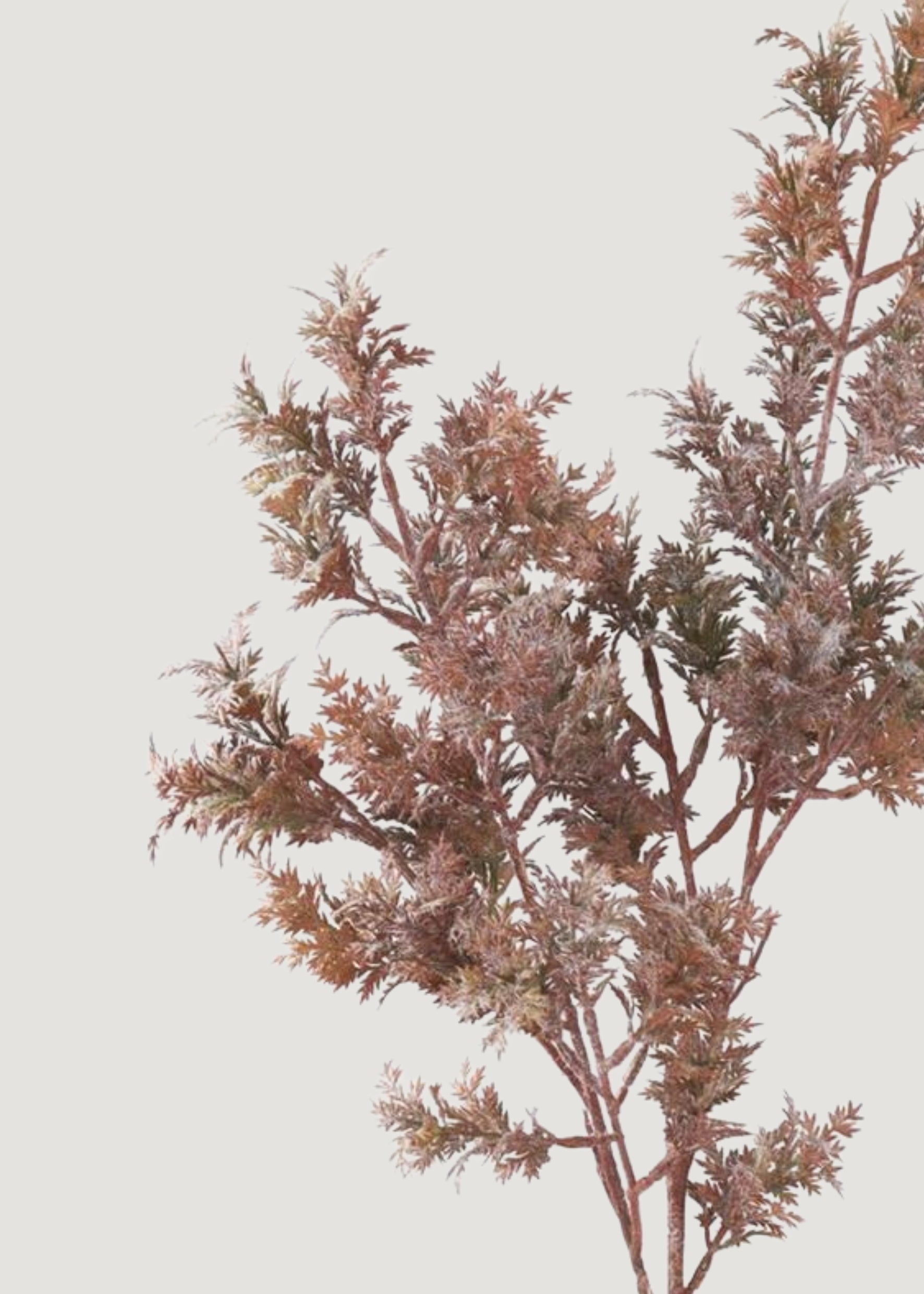 Close-up of Artificial Cypress Branch