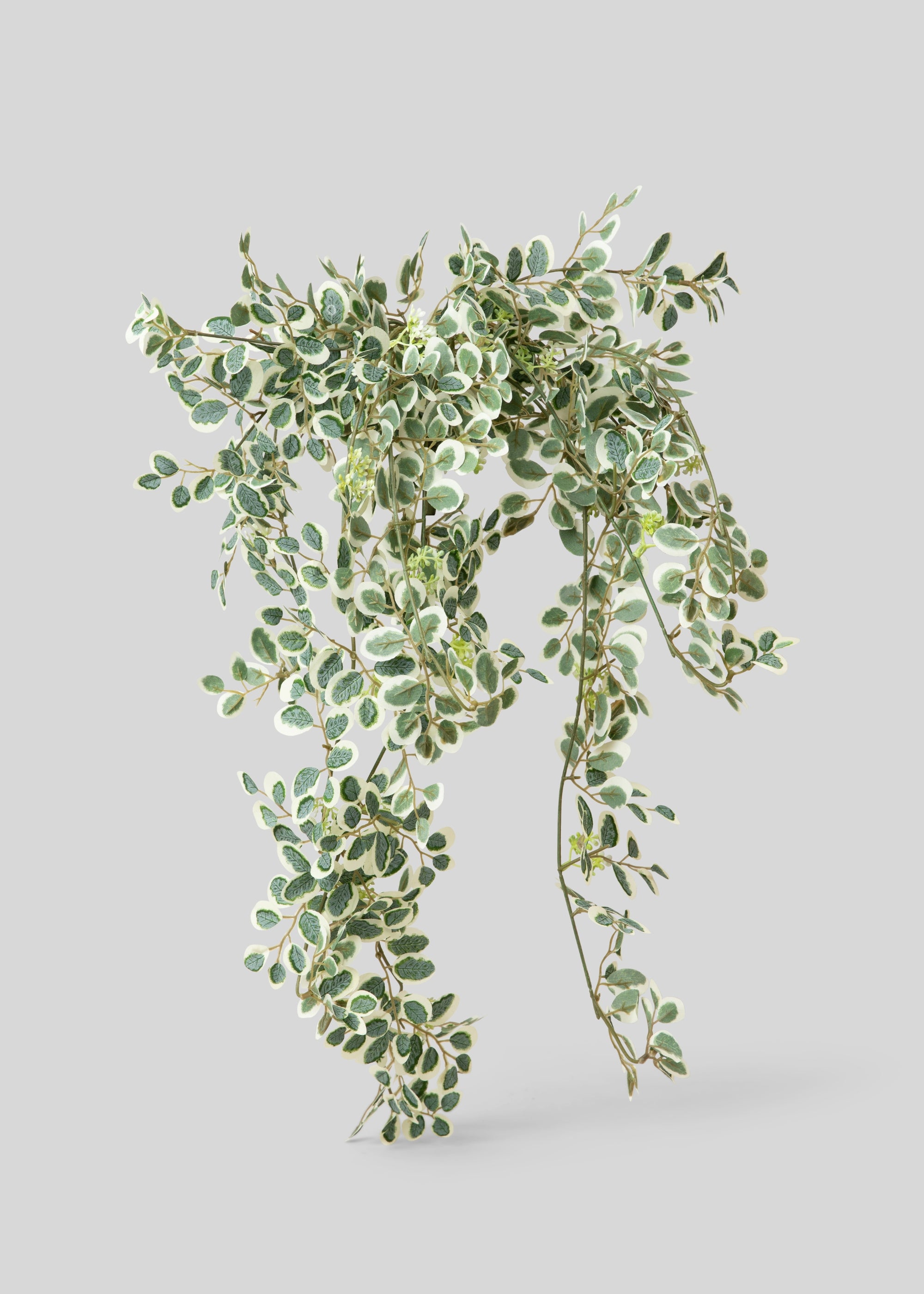 Fake Button Leaf Hanging Plant