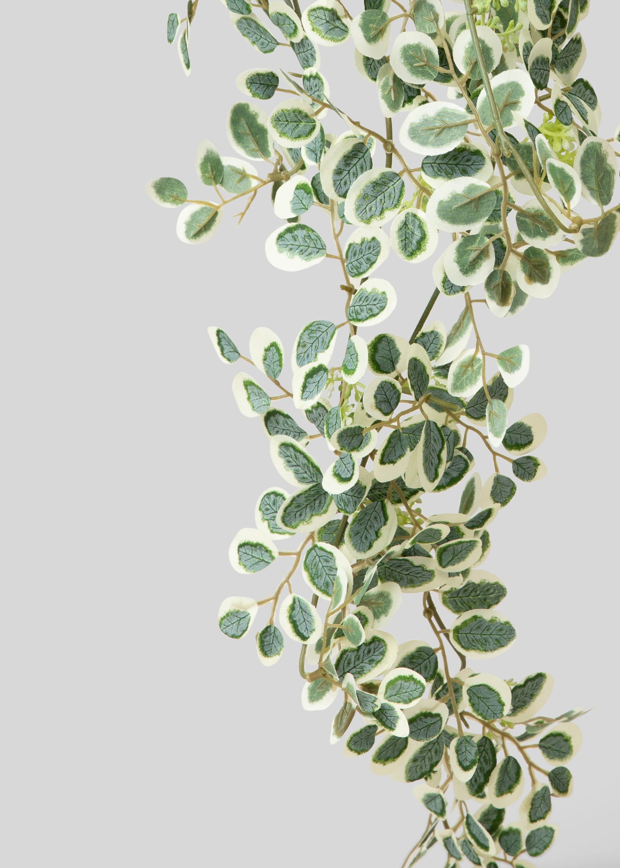 Artificial Button Leaf Plant