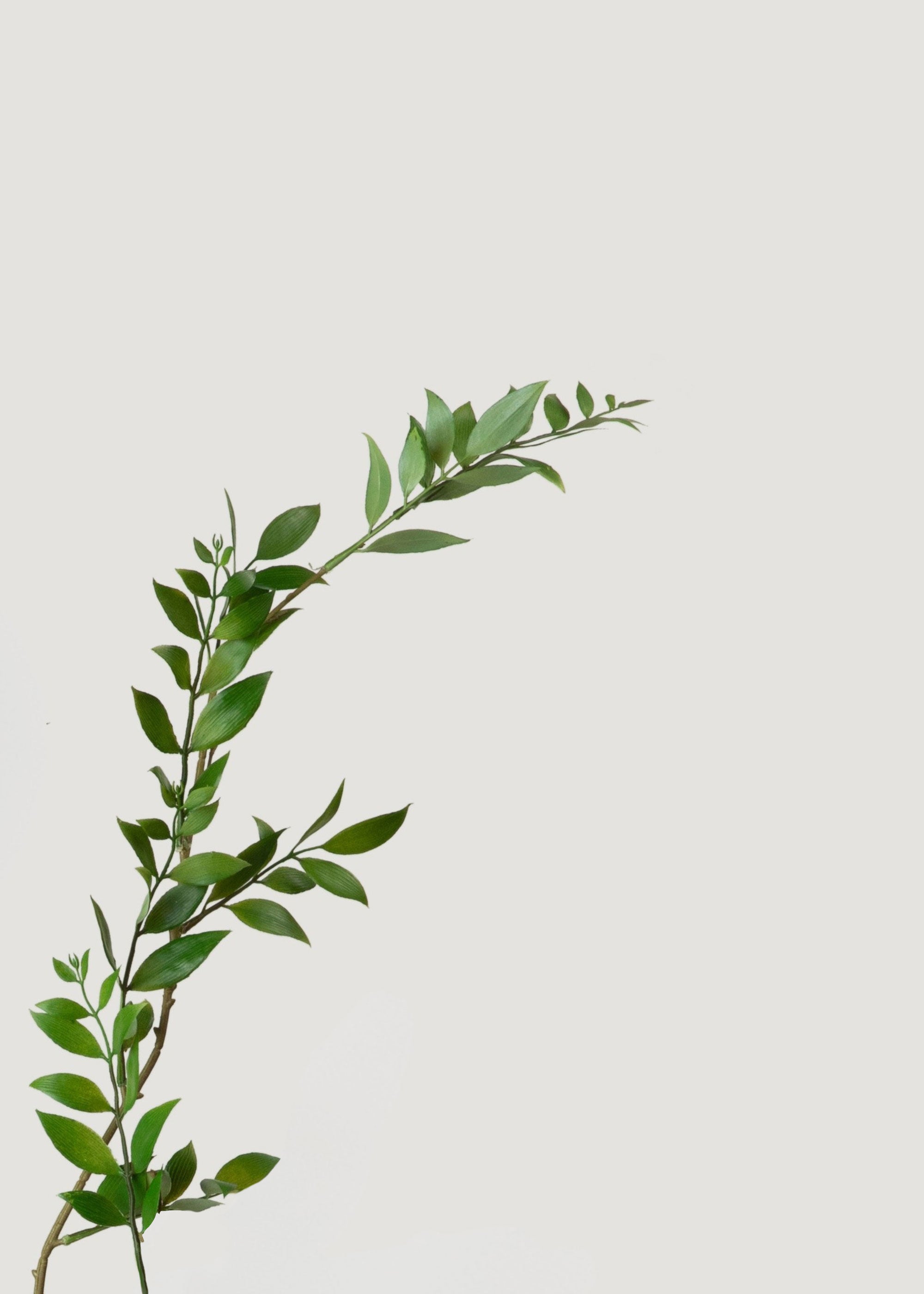 Artificial Broadleaf Podocarpus Leaf Branch