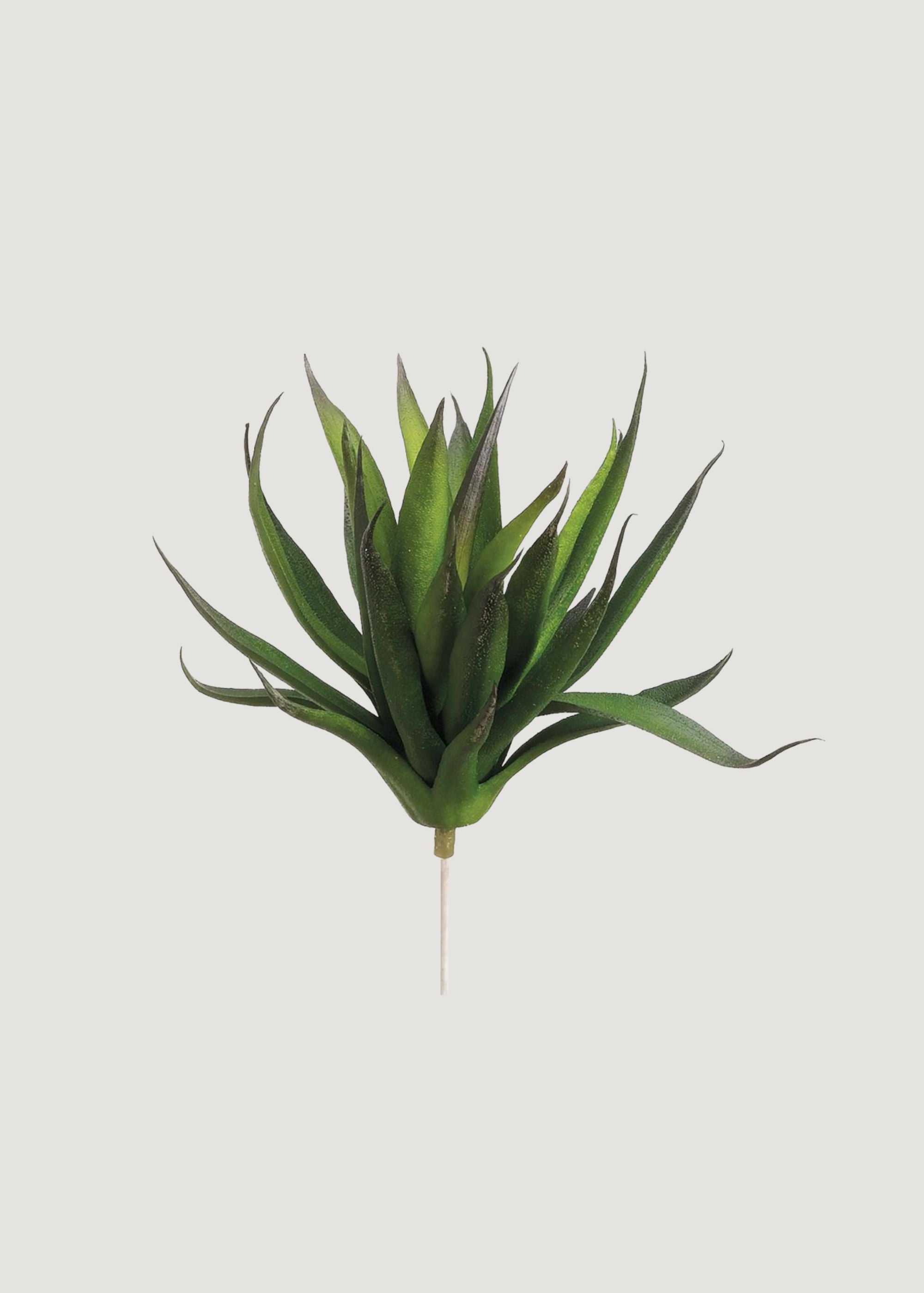 Fake Agave Succulent Plant