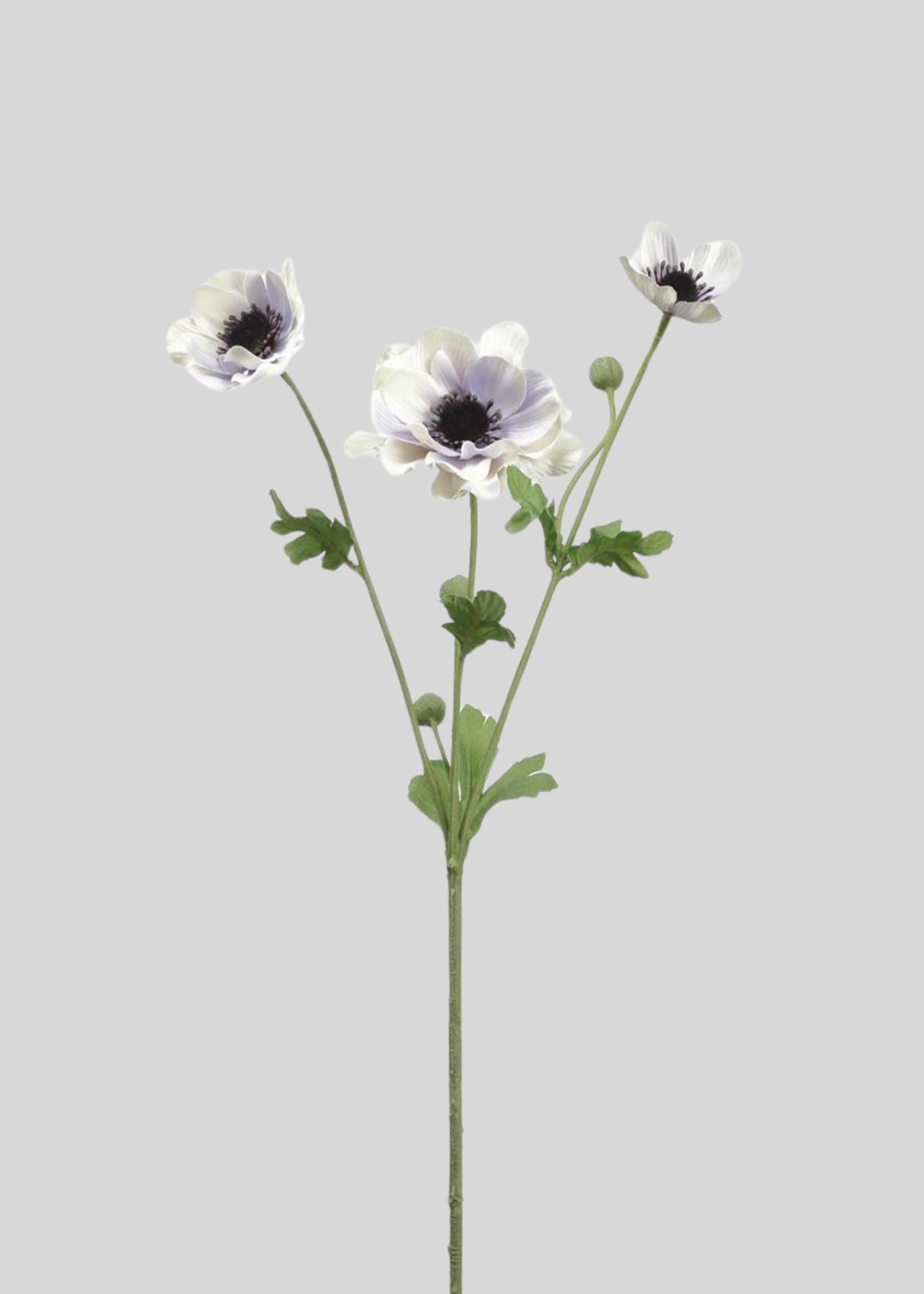 Artificial Anemone Flowers in Lavender Cream