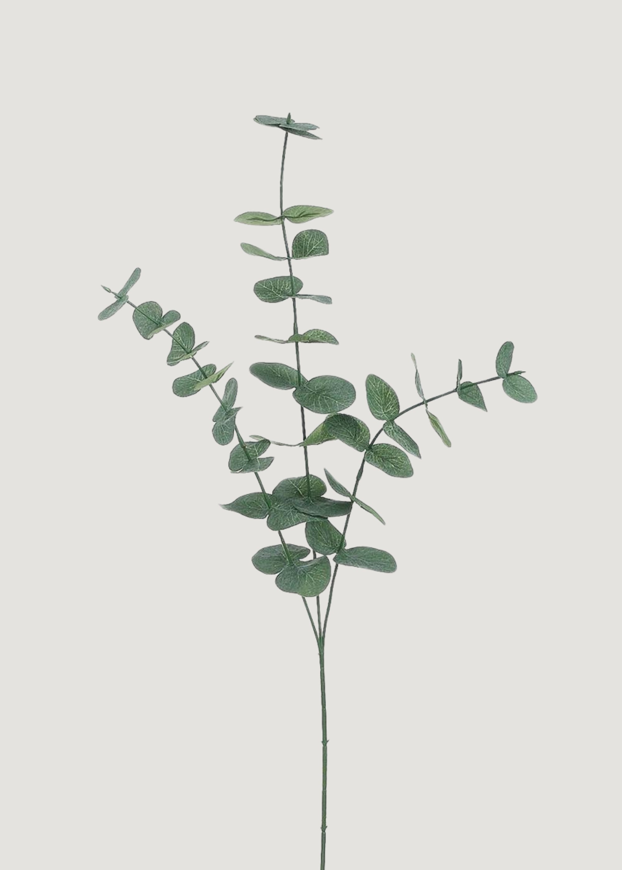 Fake Spiral Eucalyptus Branch