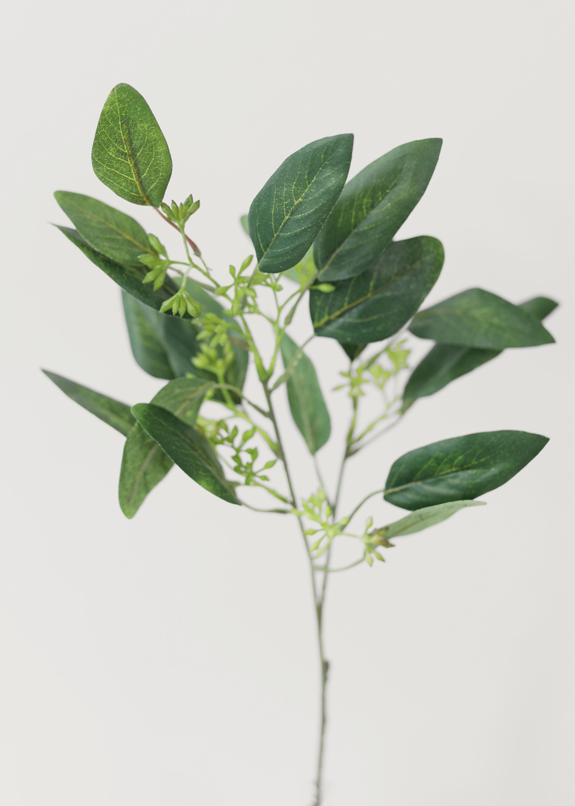 Artificial Seeded Eucalyptus Stem