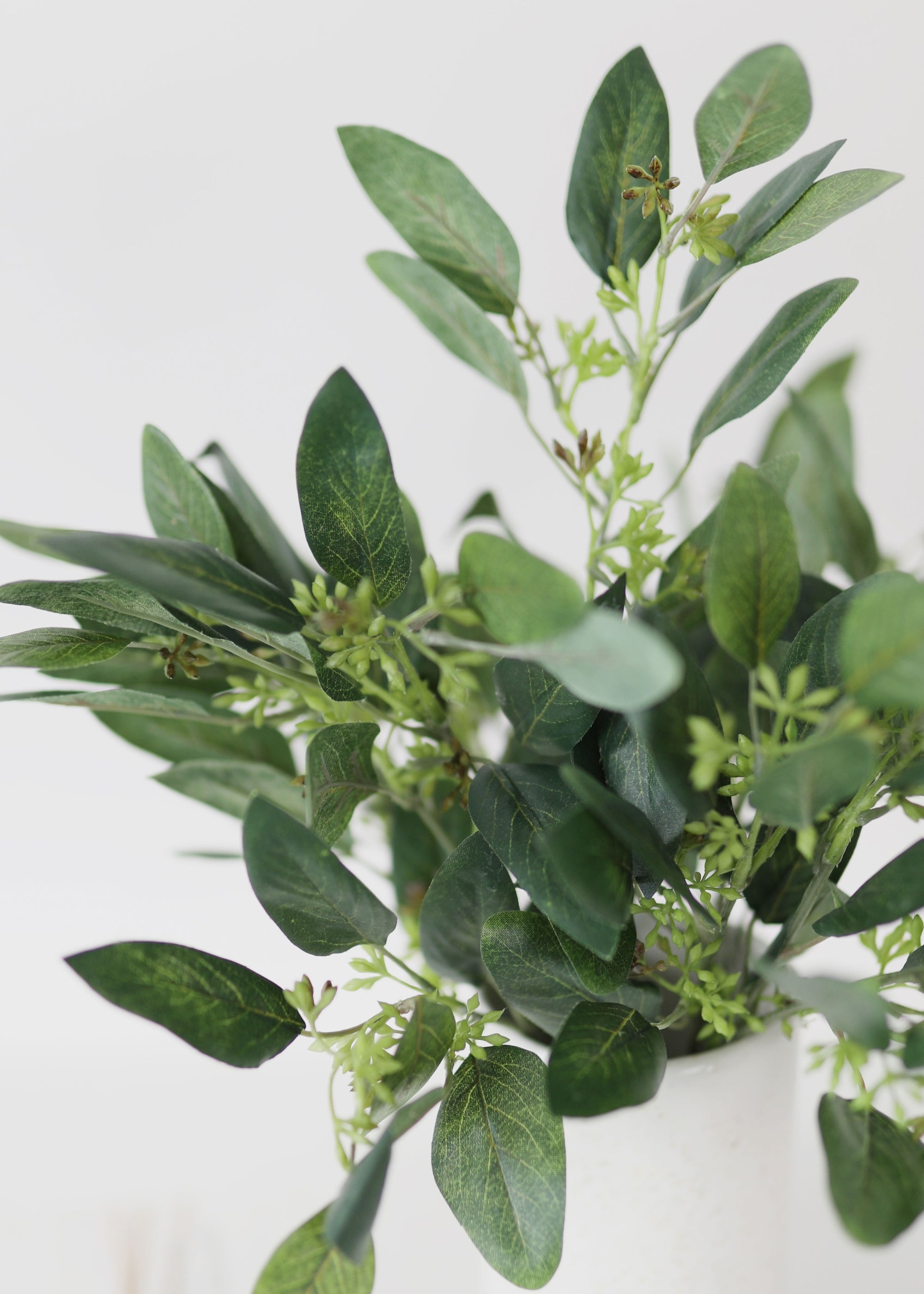 Fake Seeded Eucalyptus