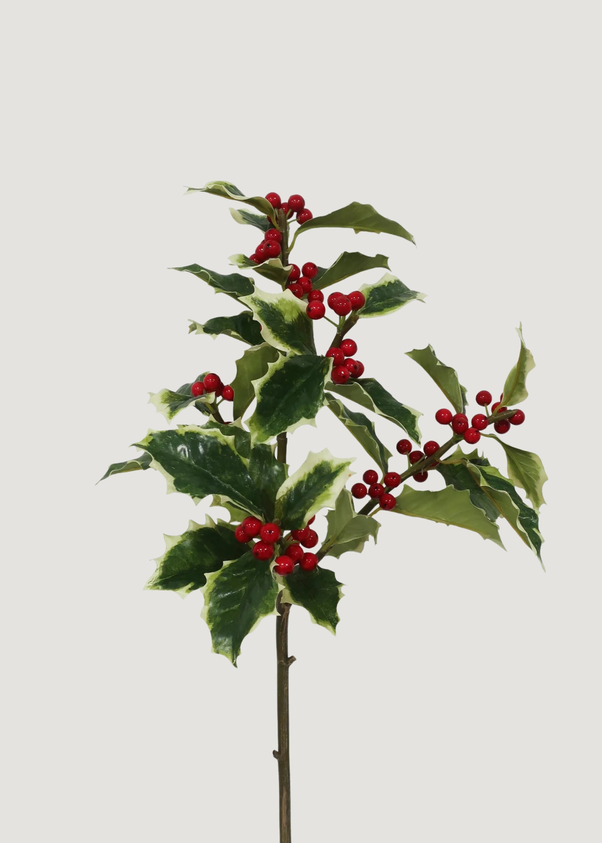 Artificial Holiday Greens Holly Branch
