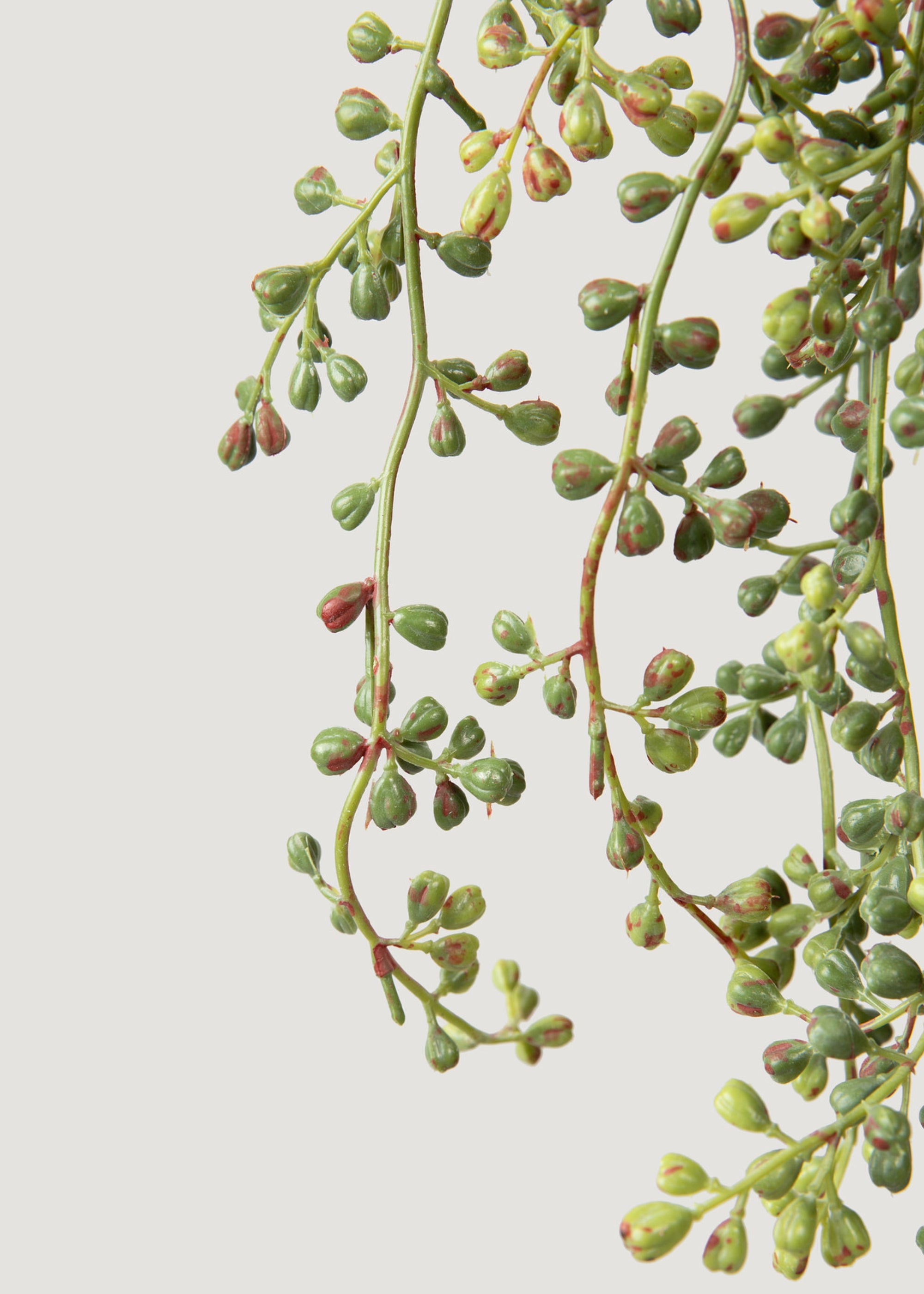 Fake Hanging String of Pearls