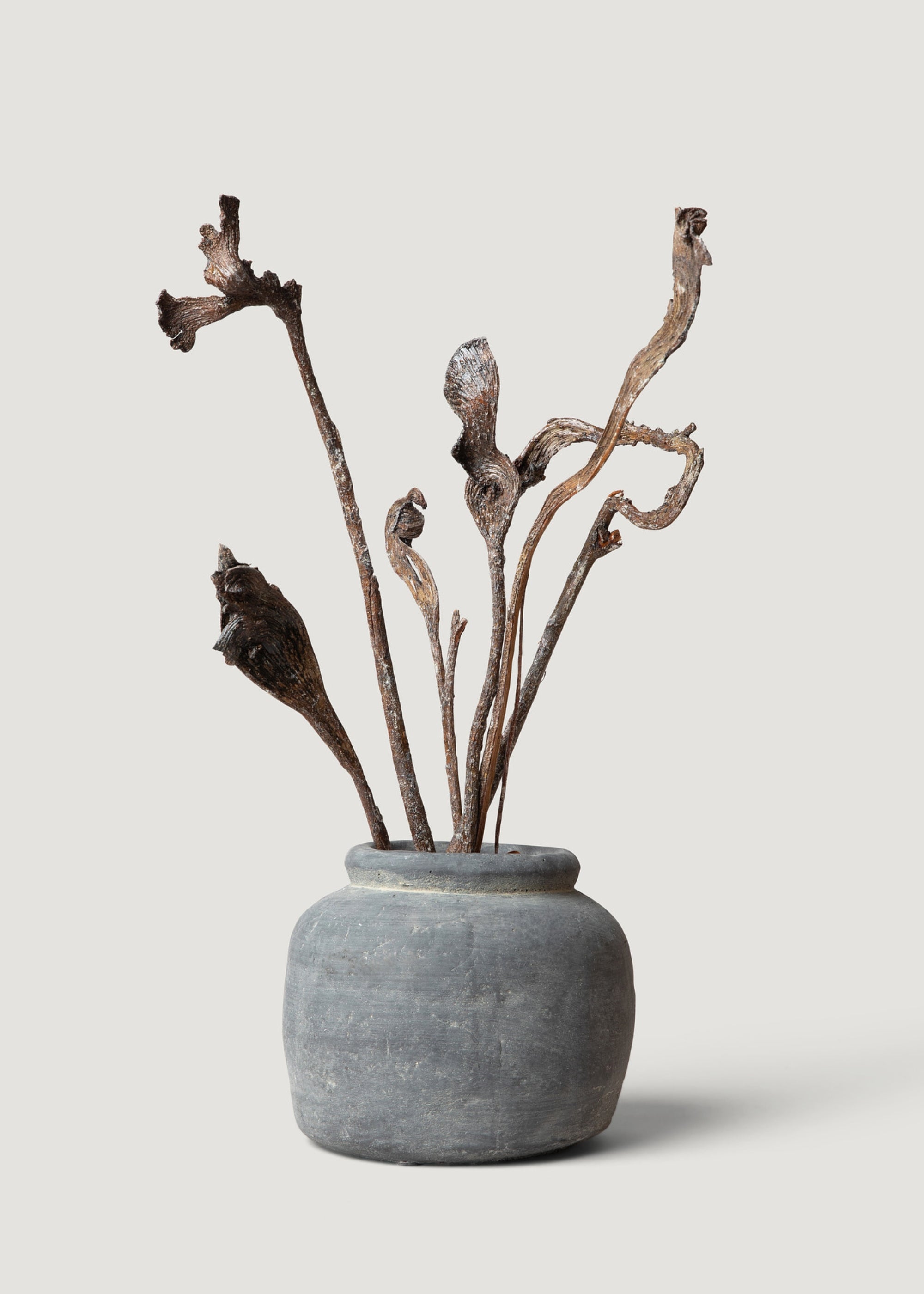 Styled Natural Natraj Twisted Branches