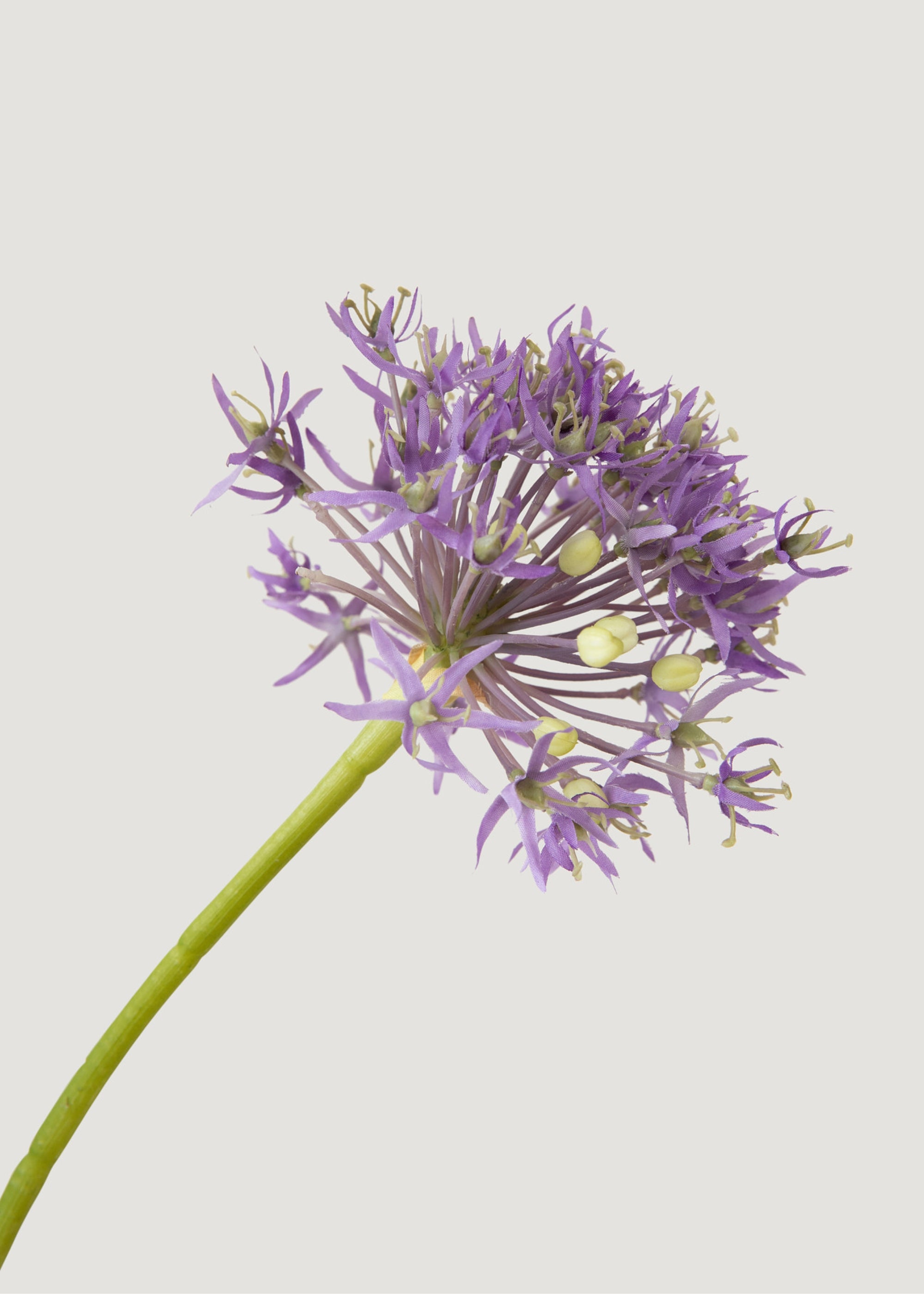 Faux Allium