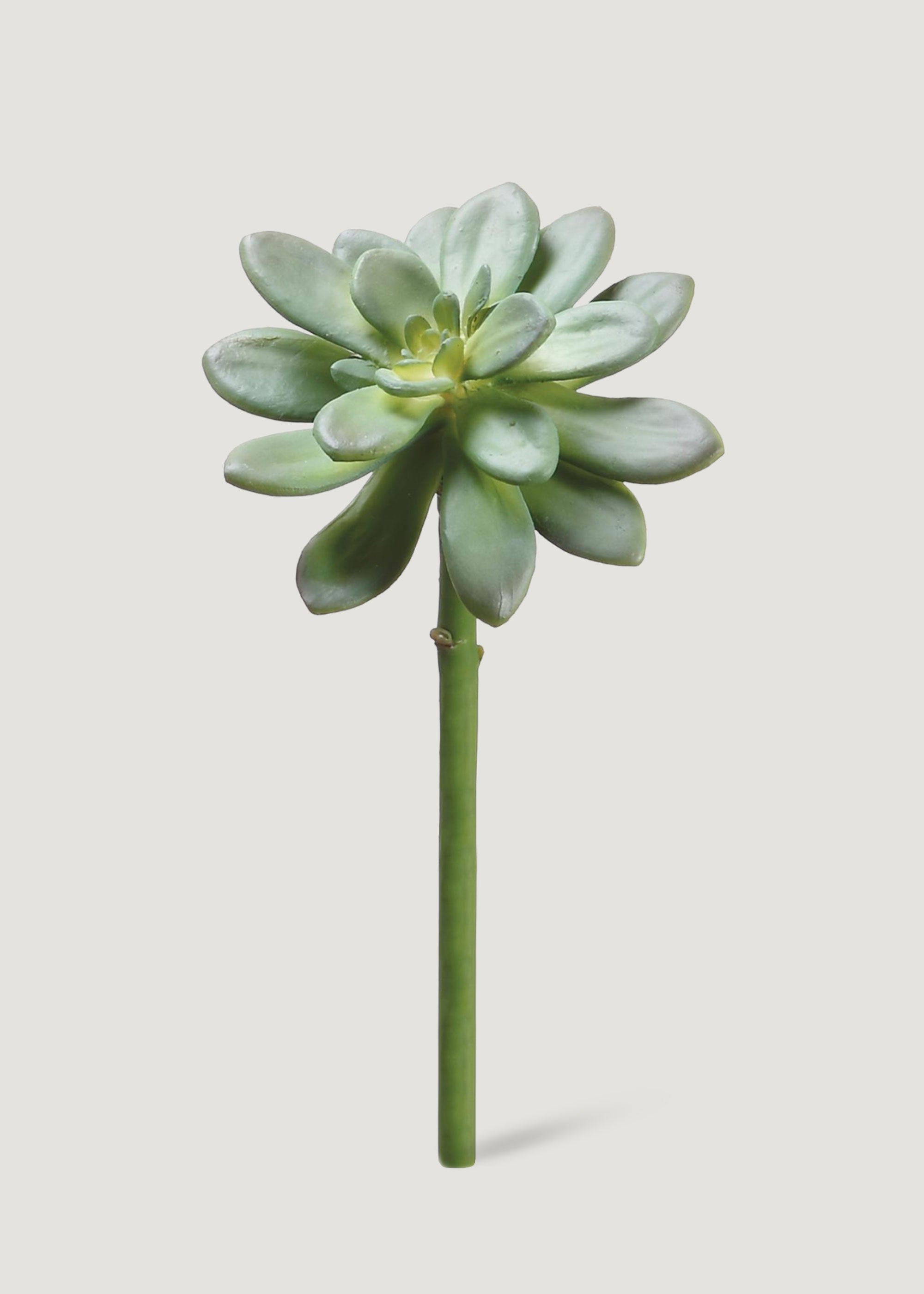 Fake  Echeveria Succulent Pick