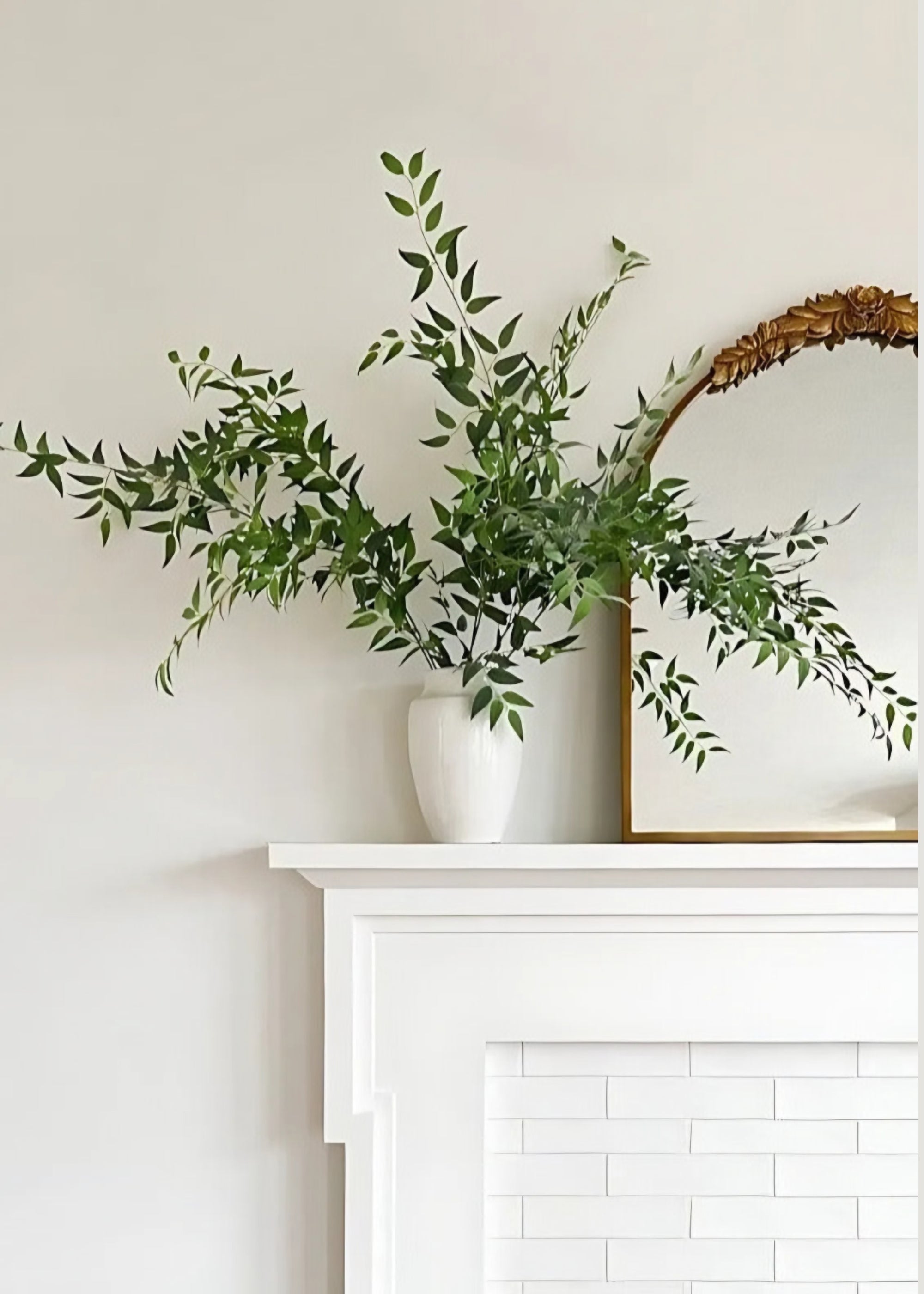 Fake Ruscus Branches from Afloral