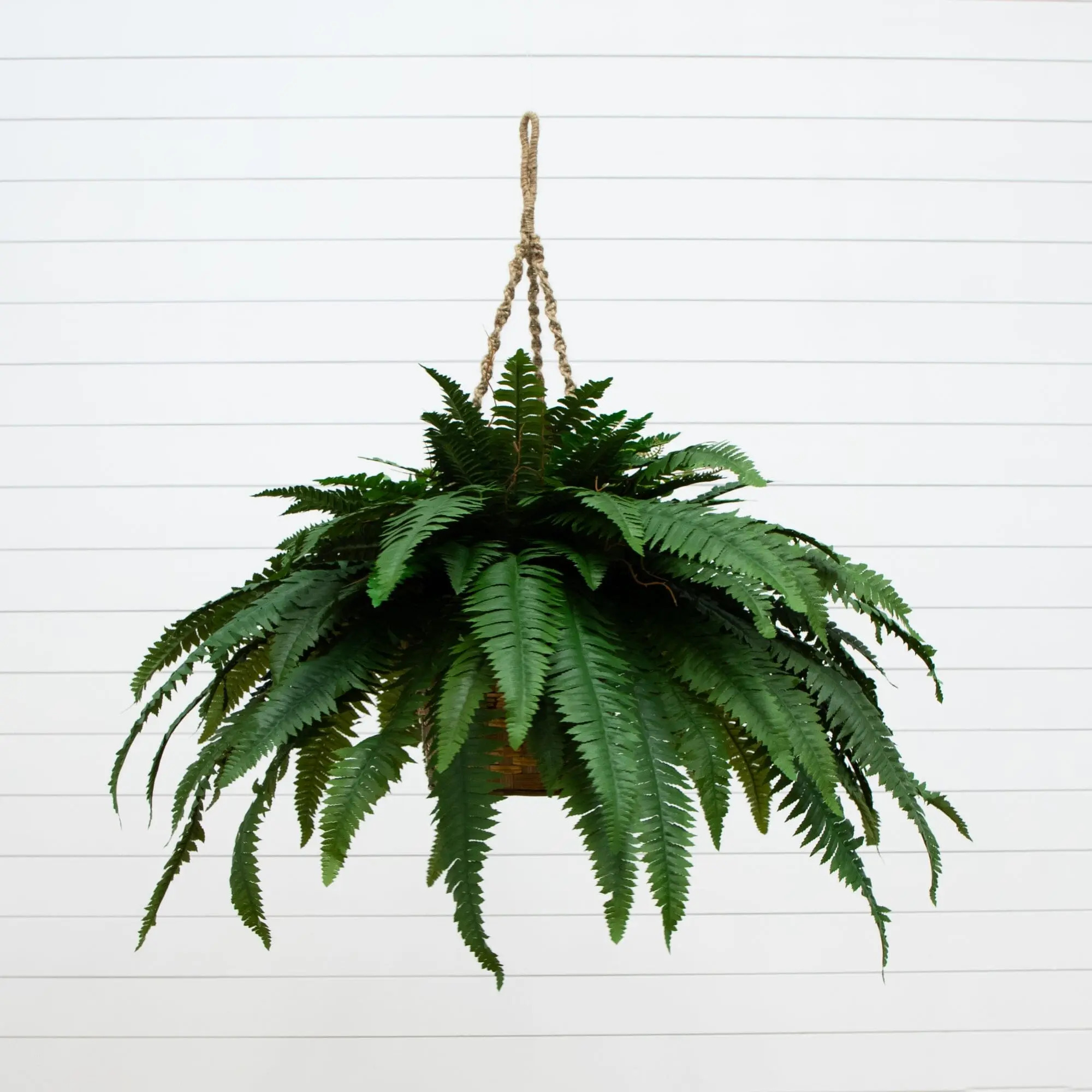 ARTIFICIALPLANTS