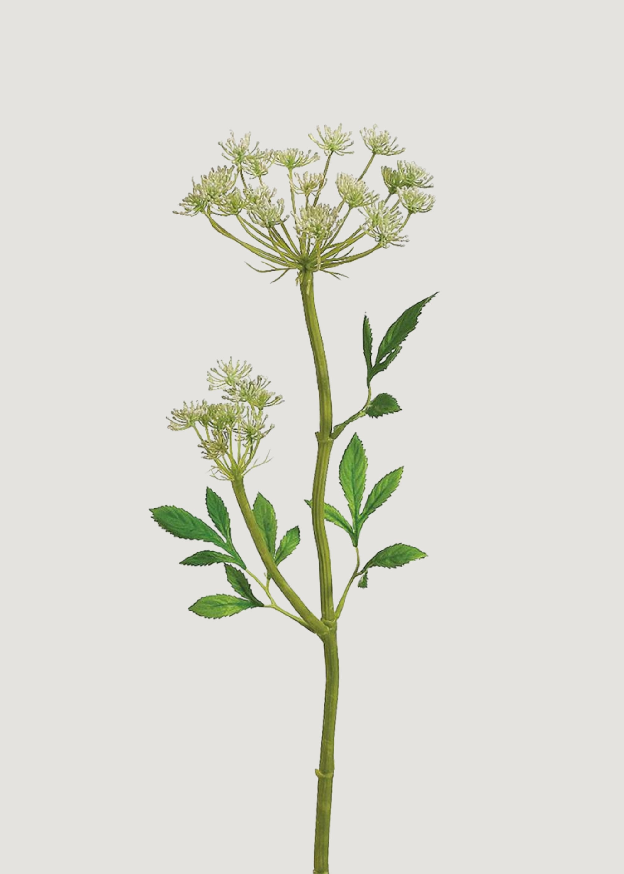 Artificial Queen Anne's Lace