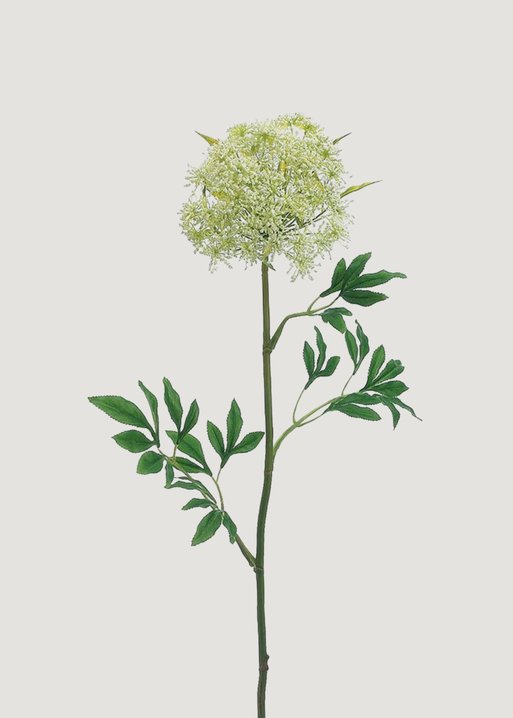 Tall Artificial Queen Anne's Lace