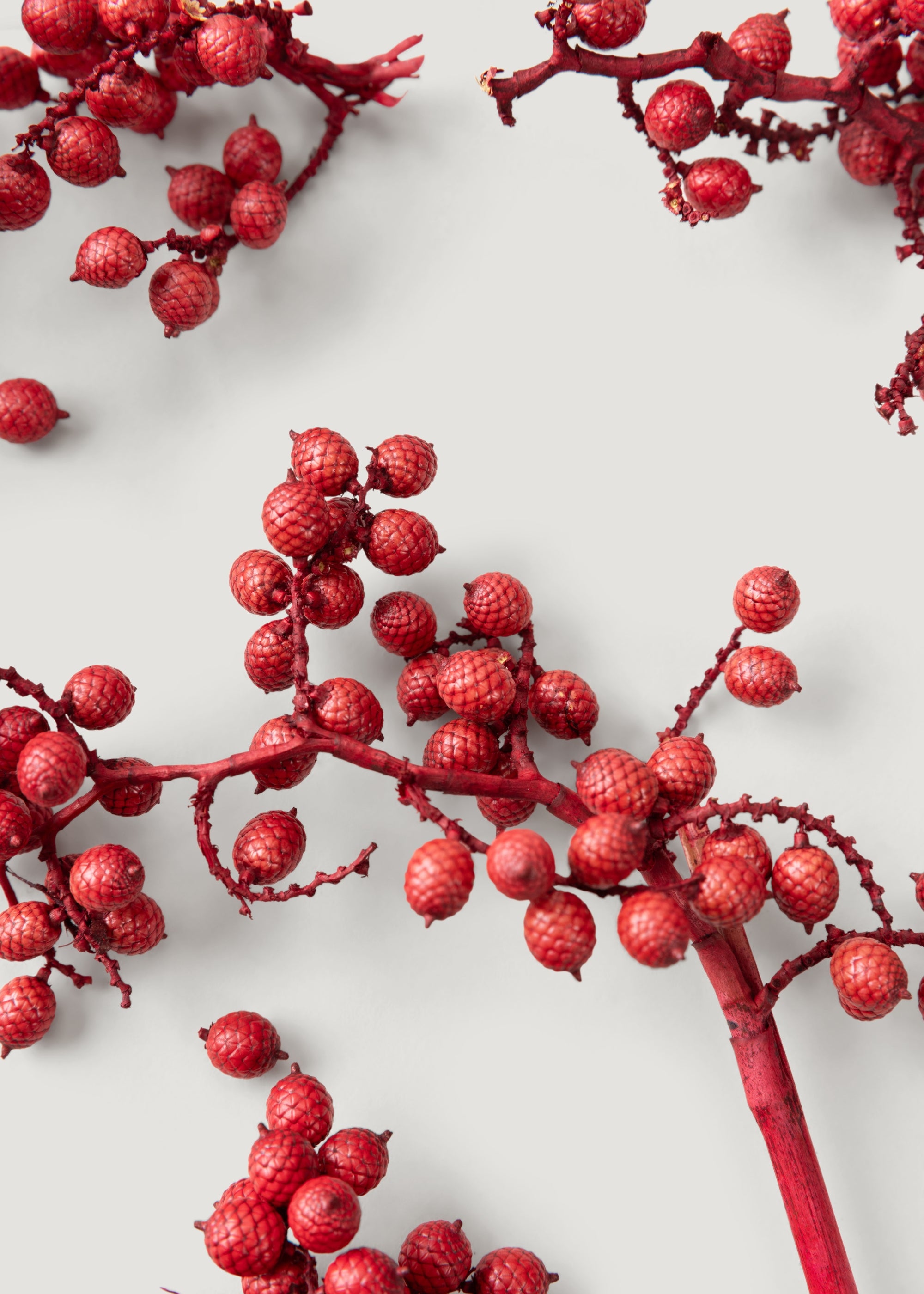 Red Dried Canella Berries