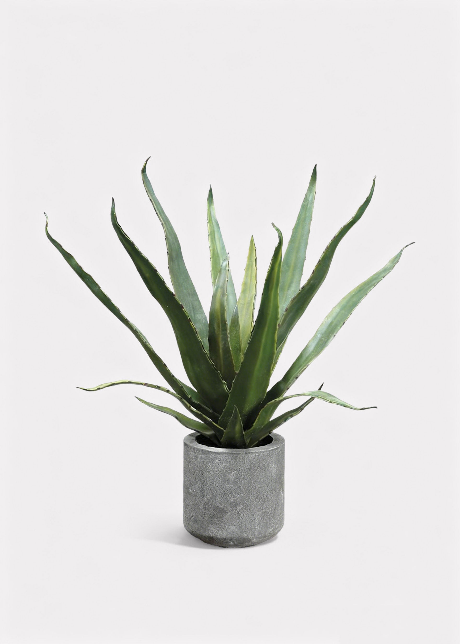 Fake Potted Agave Cactus Plant in Cement Pot