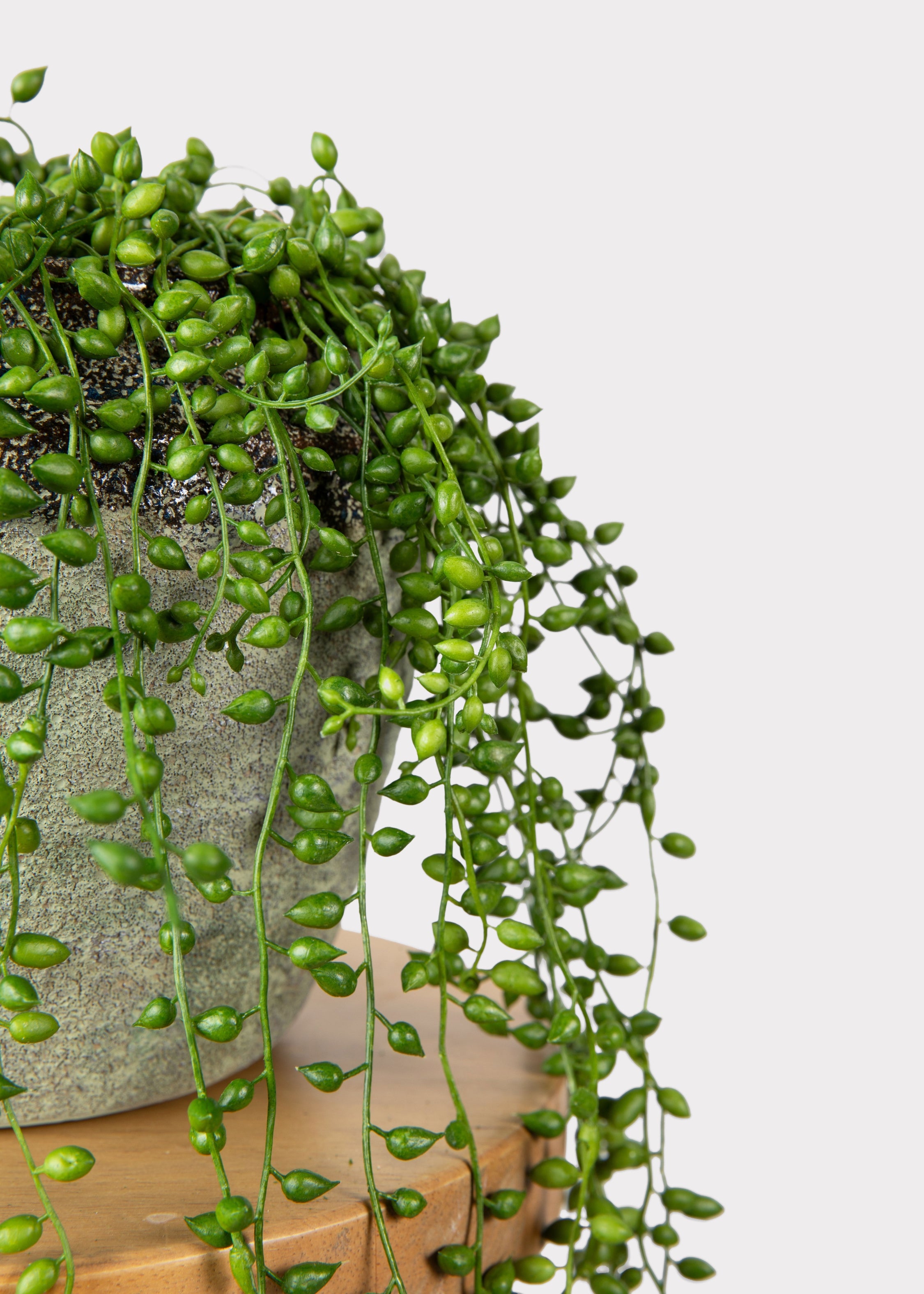 Close up of Faux String of Pearls
