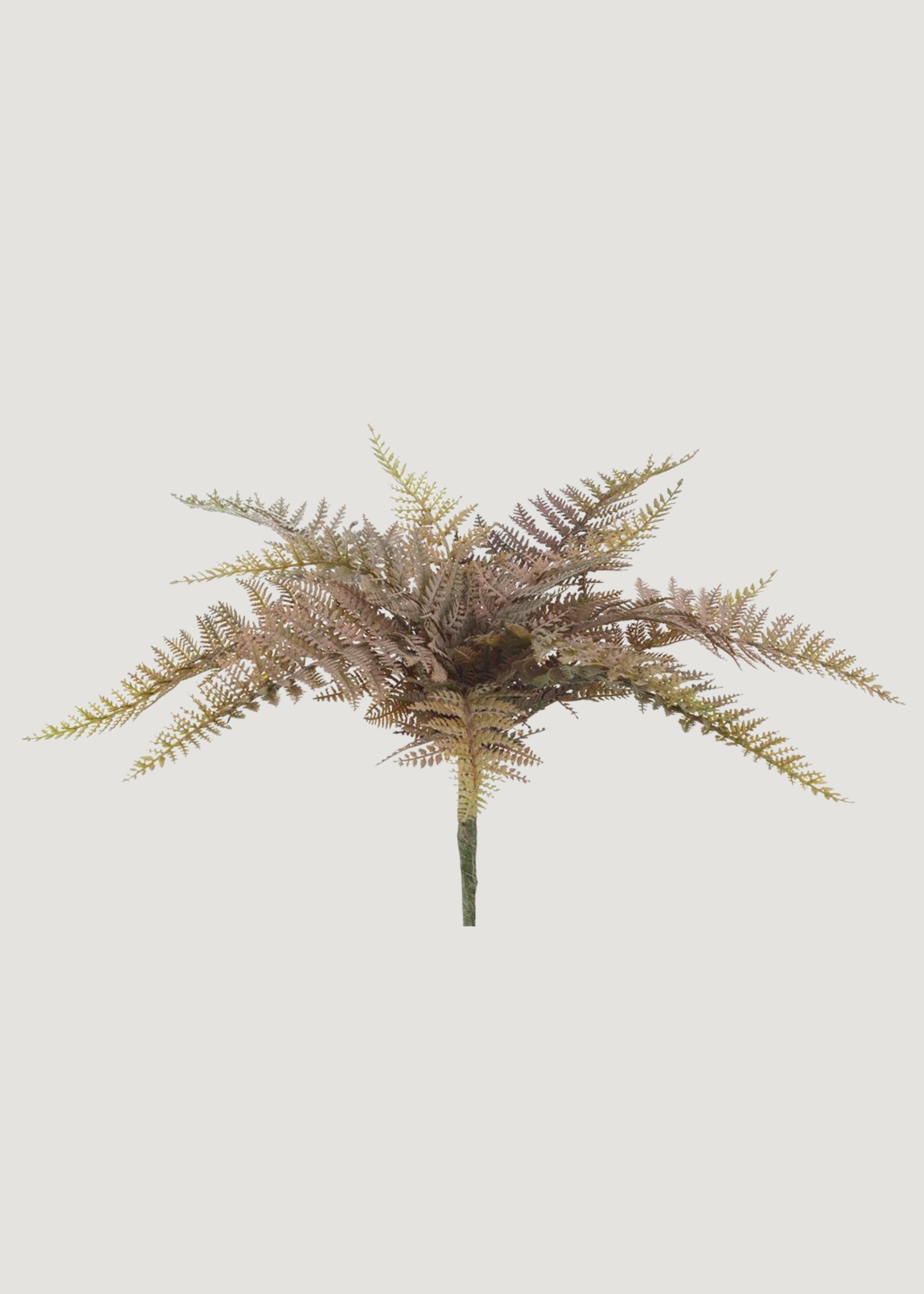 Fake Fern Leaf Bush in Autumn Mauve Green