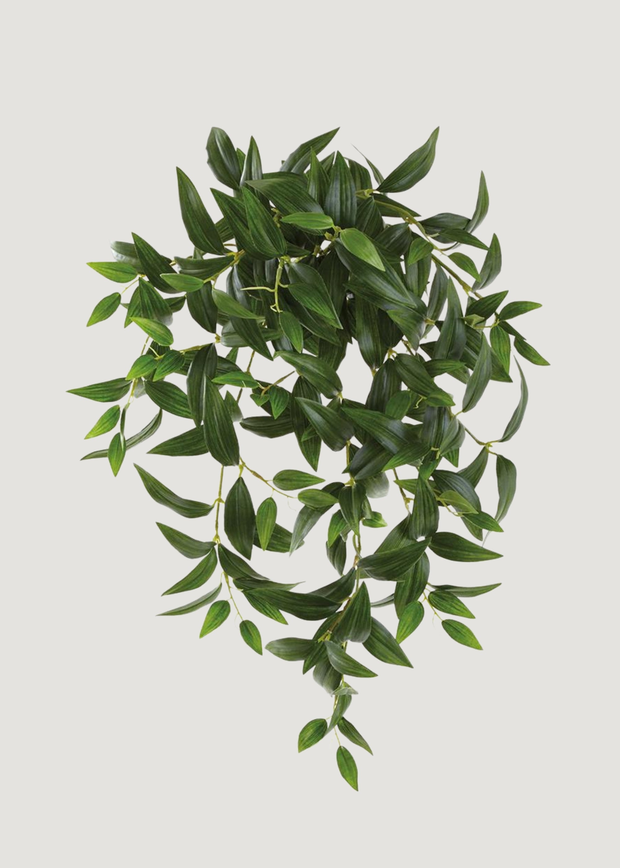 Artificial Hanging Ruscus Leaf Bush