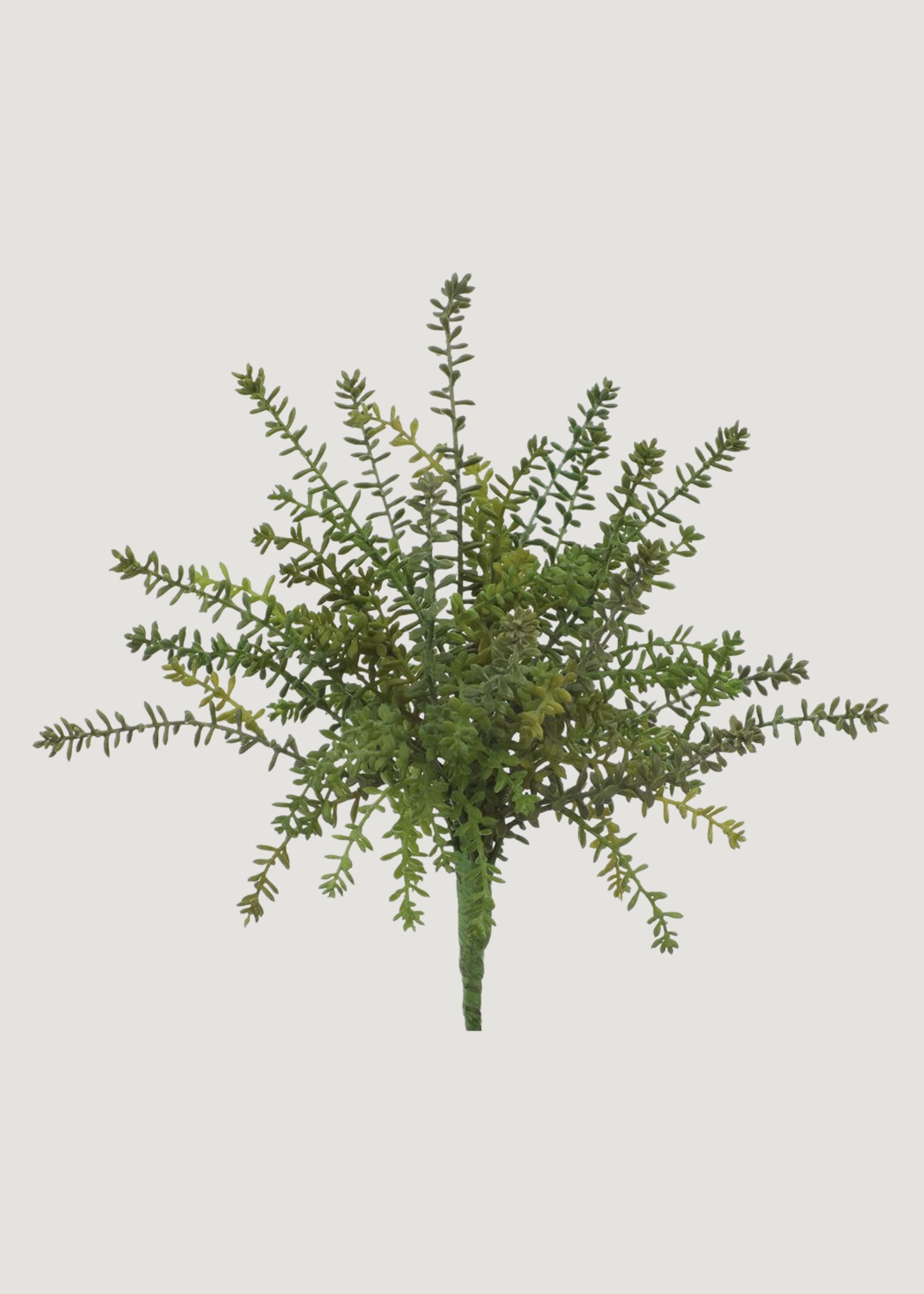 Fake Succulents Green Sedum Bush