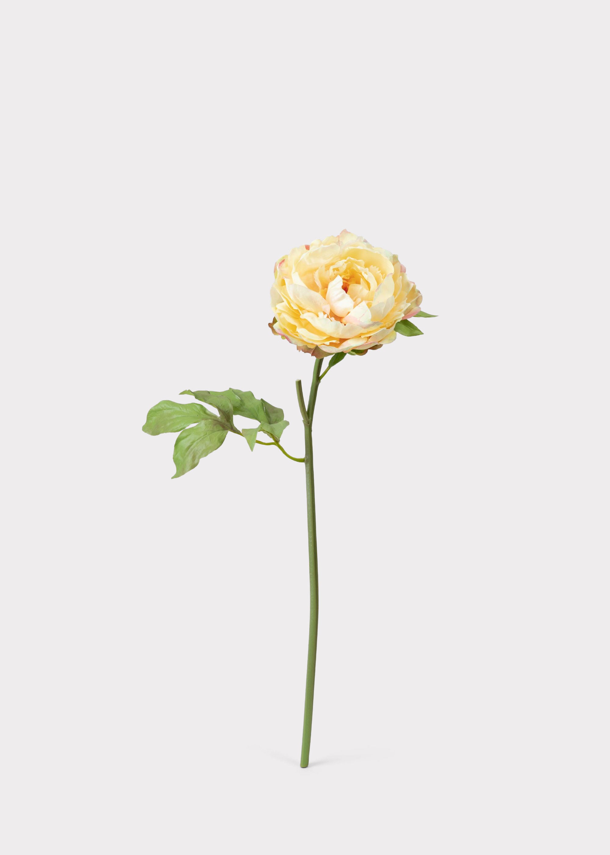 Real Touch Peony in Yellow Watercolor
