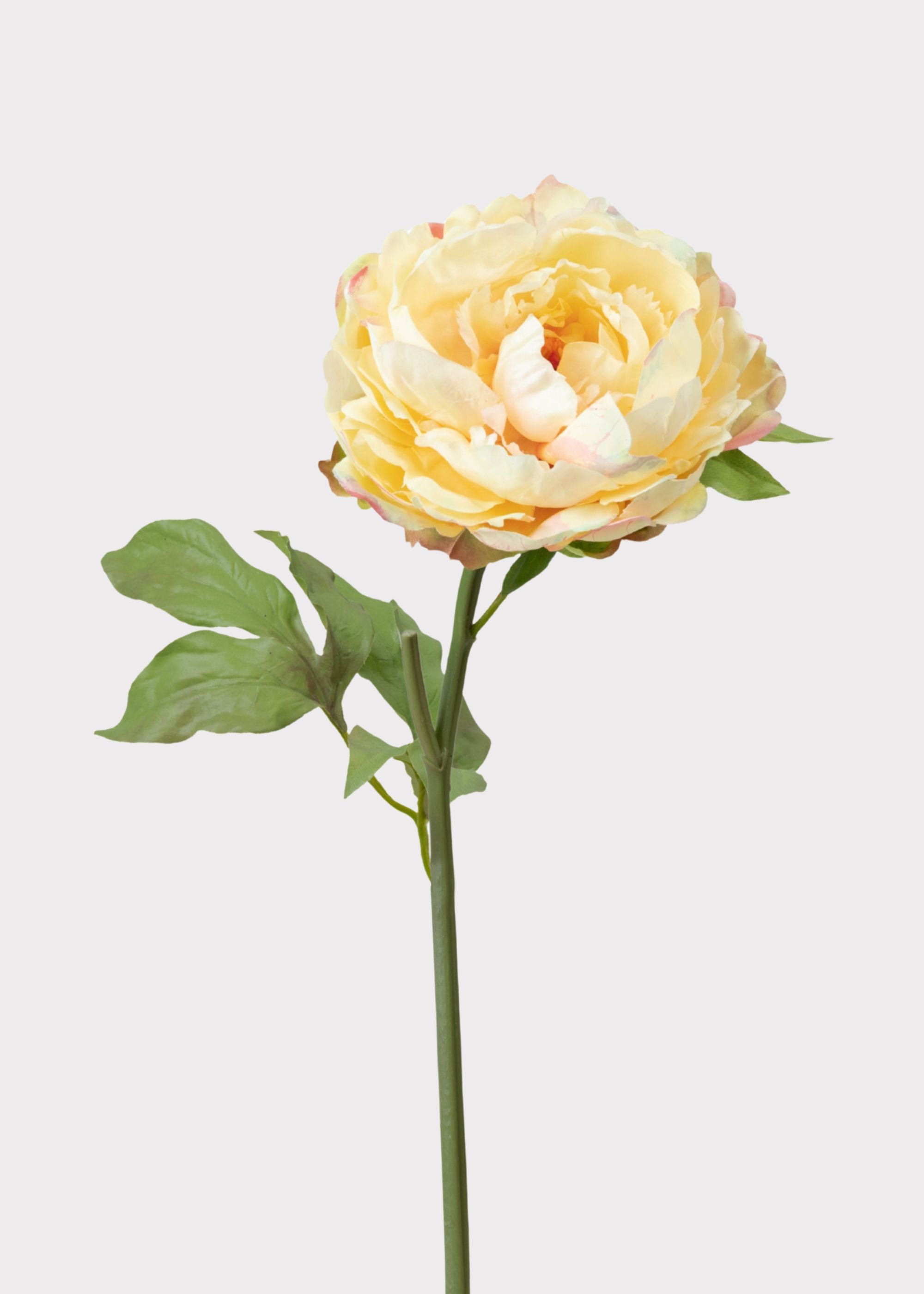Real Touch Pale Yellow Peony