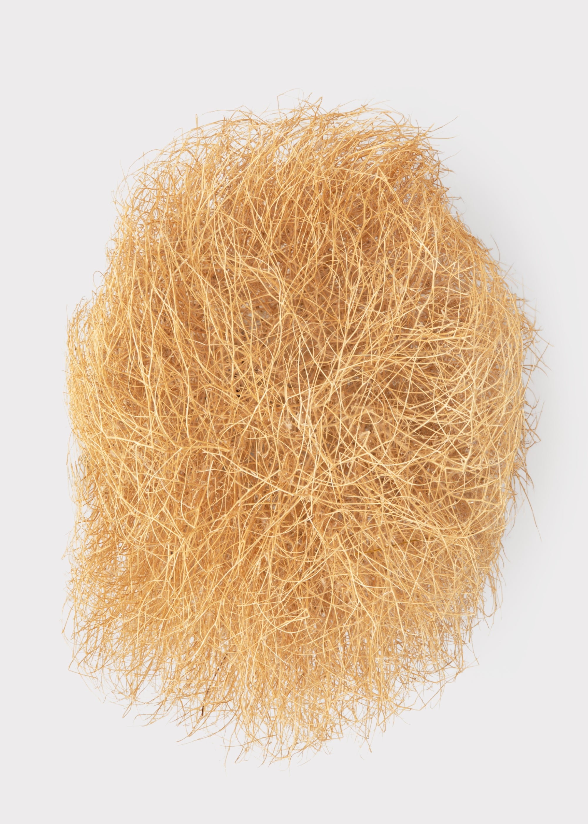 Tumbleweed Bunch