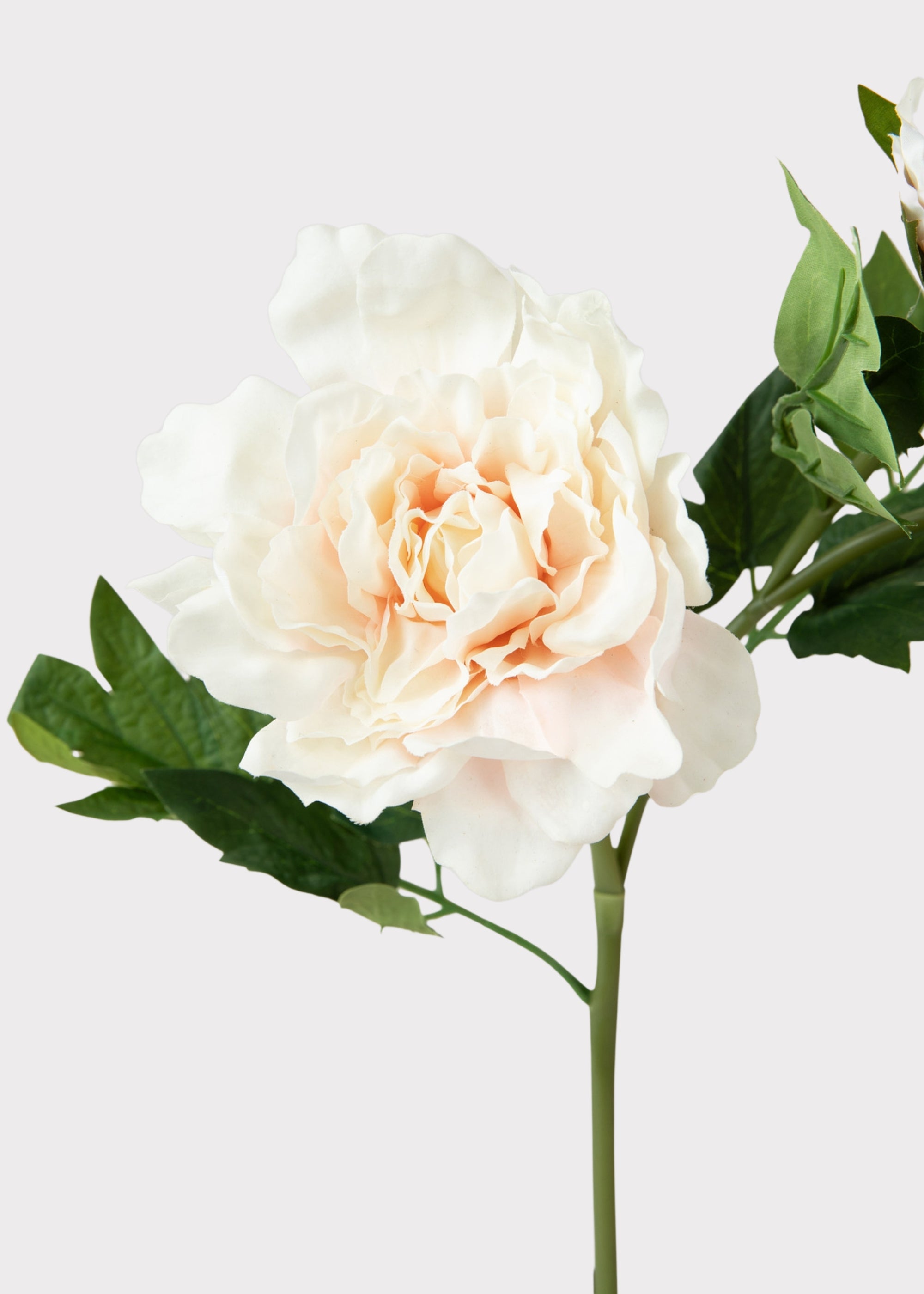 Real Touch Peony